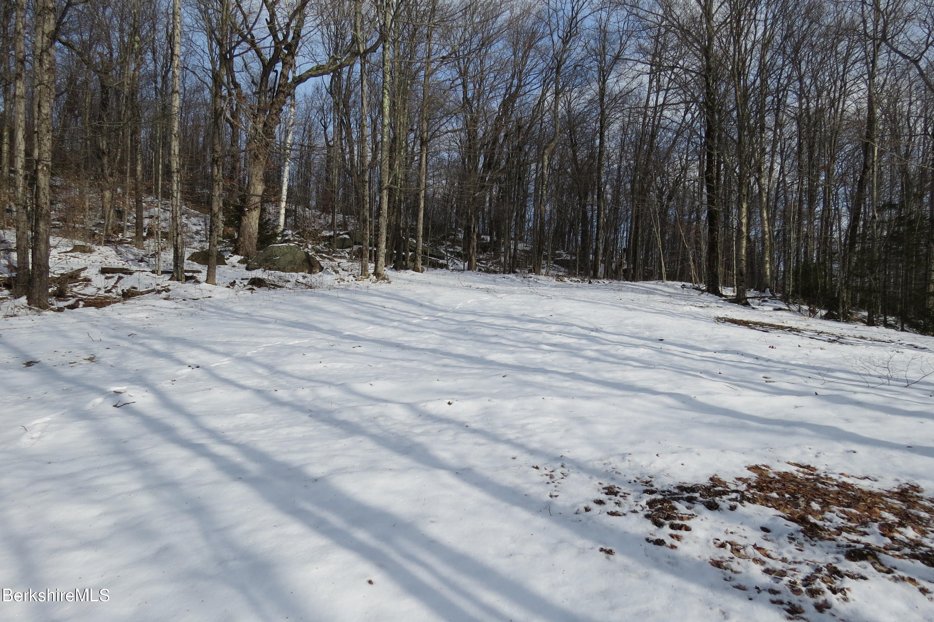 0 Bailey Hill Road Readsboro, VT 05350 - Photo 5 of 16 a view of outdoor space with trees