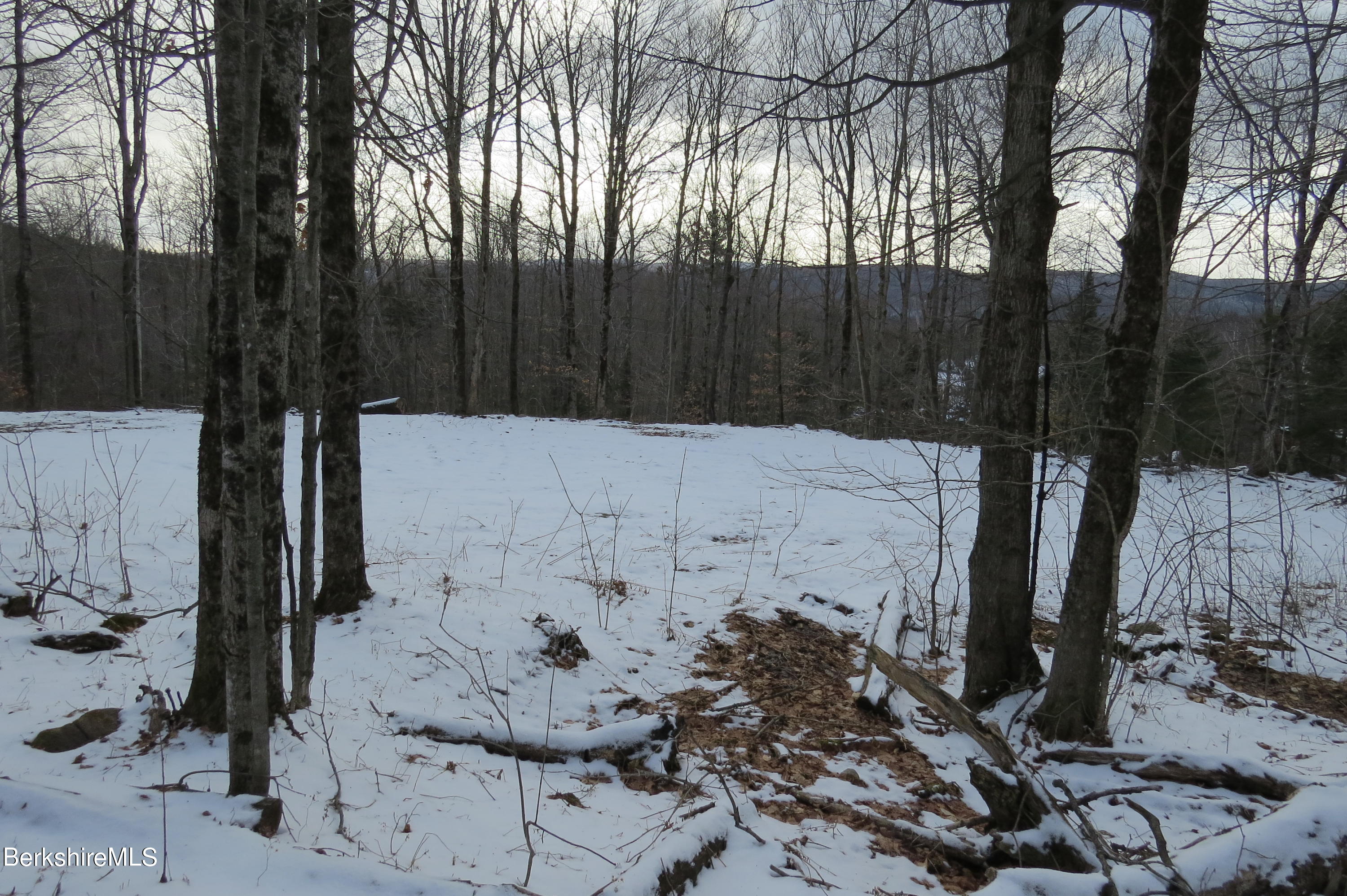 0 Bailey Hill Road Readsboro, VT 05350 - Photo 10 of 16 a view of a backyard