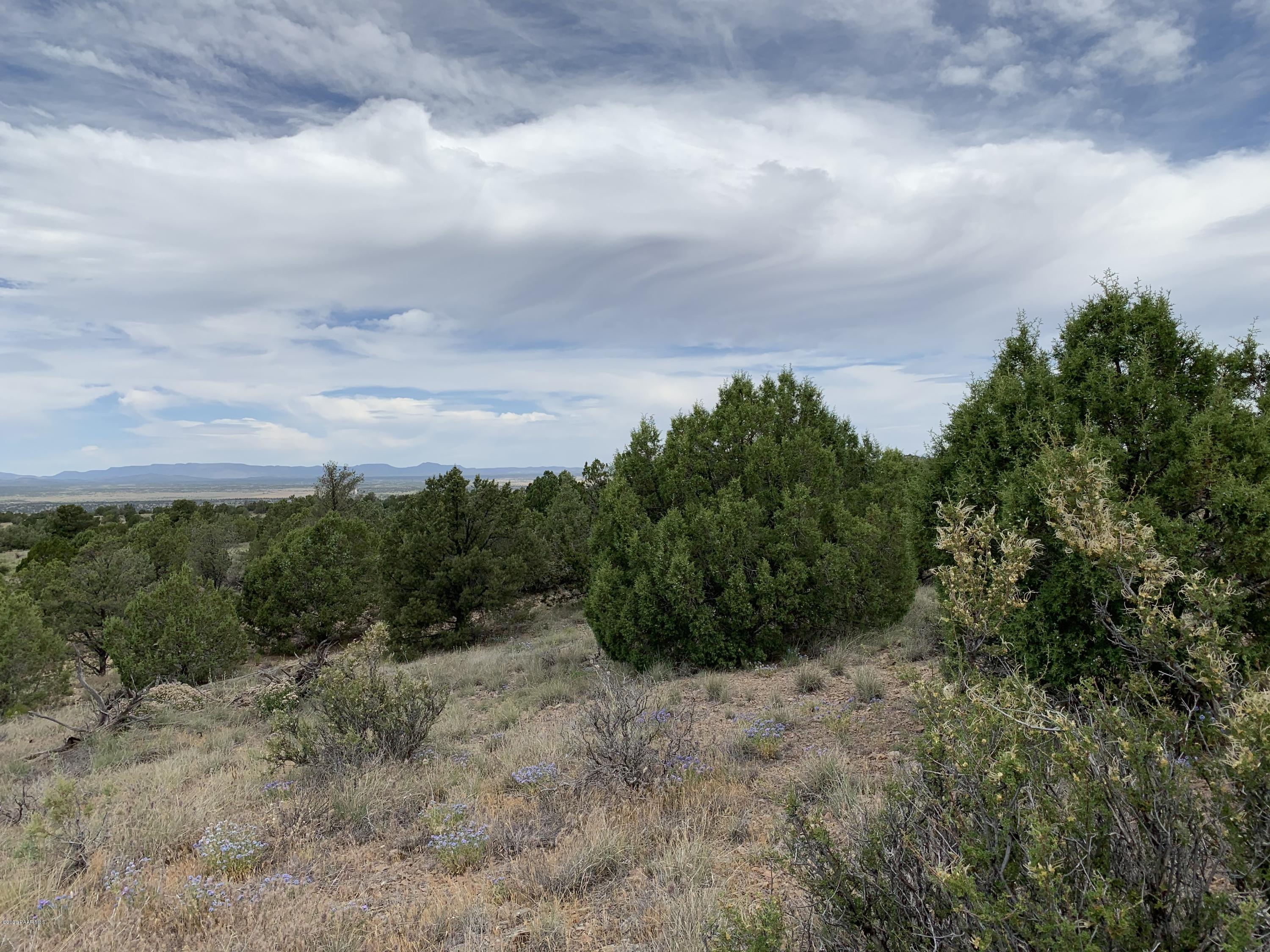 18601 Crossroads Ranch Road Prescott, AZ 86305 - Photo 11 of 22 a view of a yard with plants and large trees