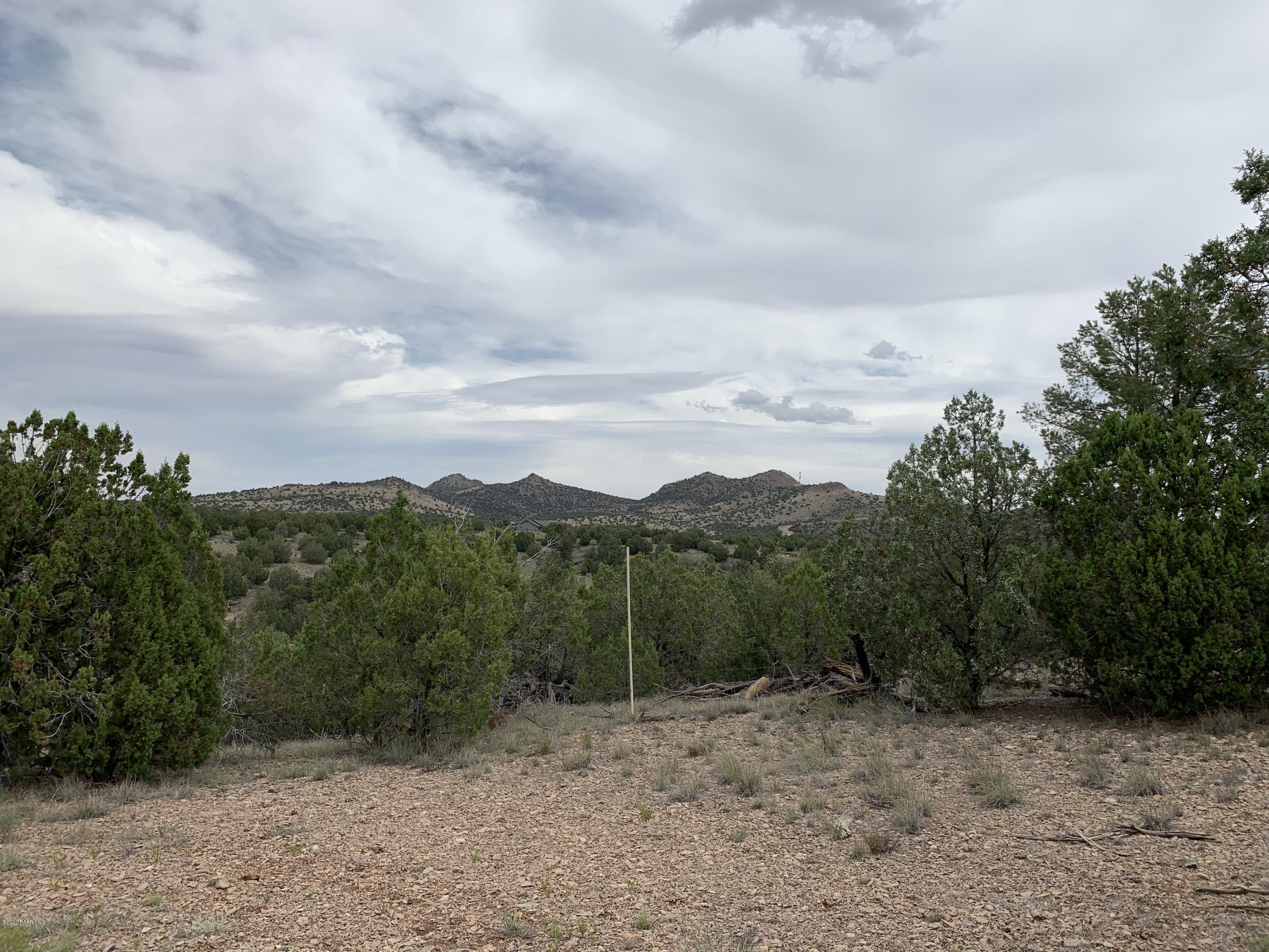 18601 Crossroads Ranch Road Prescott, AZ 86305 - Photo 18 of 22 a view of a dry yard with trees