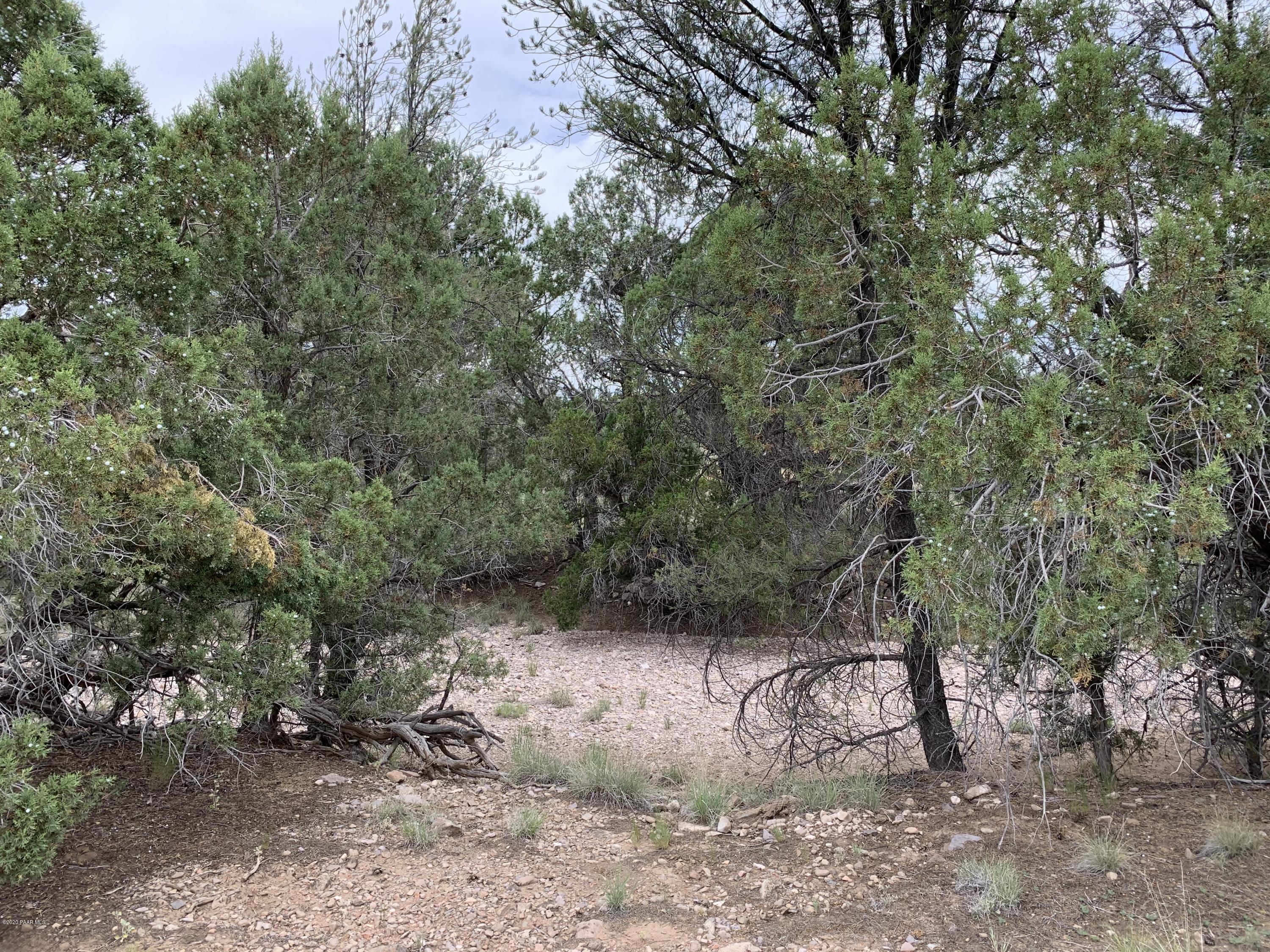18601 Crossroads Ranch Road Prescott, AZ 86305 - Photo 19 of 22 a view of a forest with trees in the background