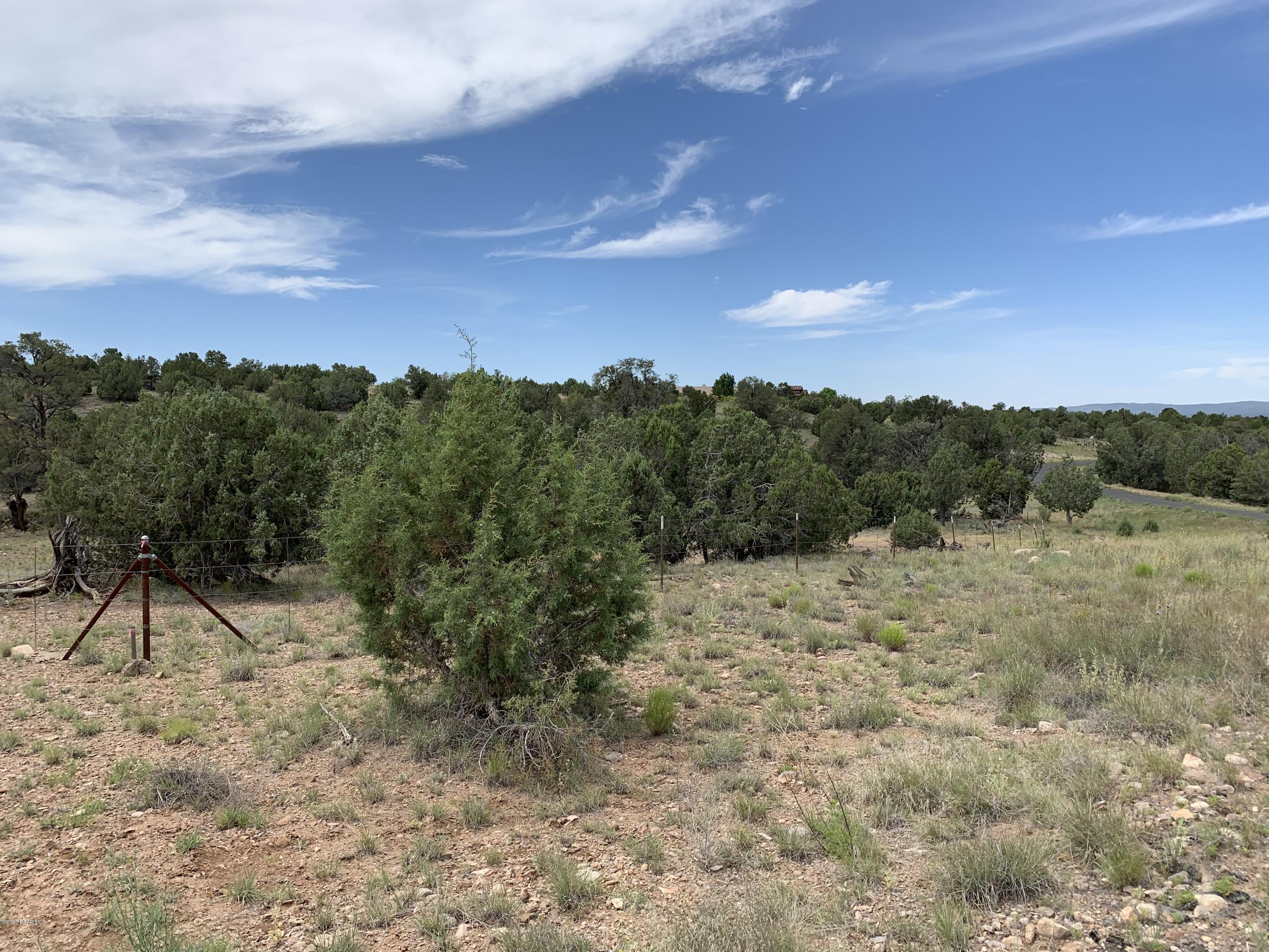 18601 Crossroads Ranch Road Prescott, AZ 86305 - Photo 20 of 22 a view of a yard with a tree