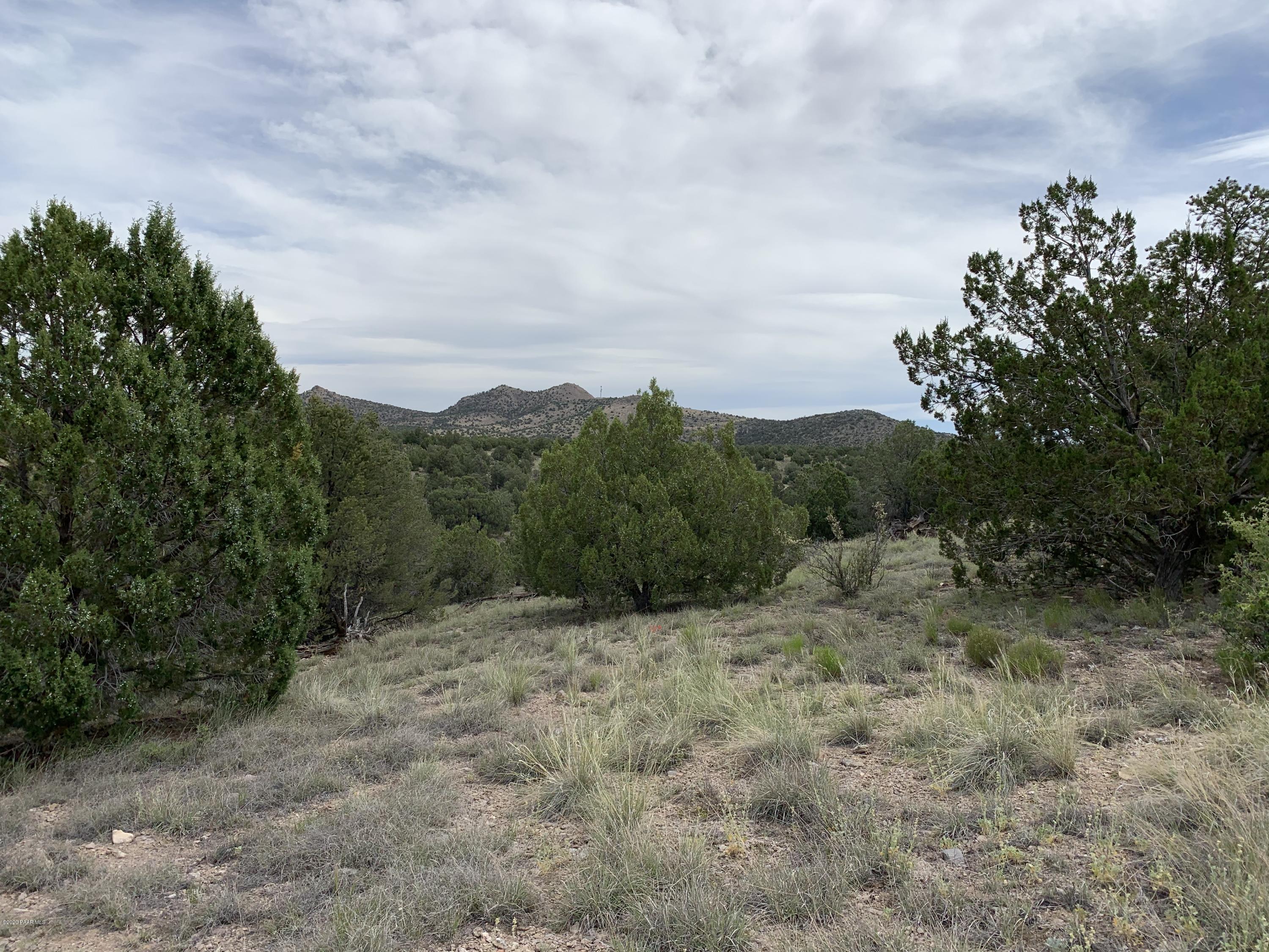 18601 Crossroads Ranch Road Prescott, AZ 86305 - Photo 2 of 22 a view of a yard with trees in the background