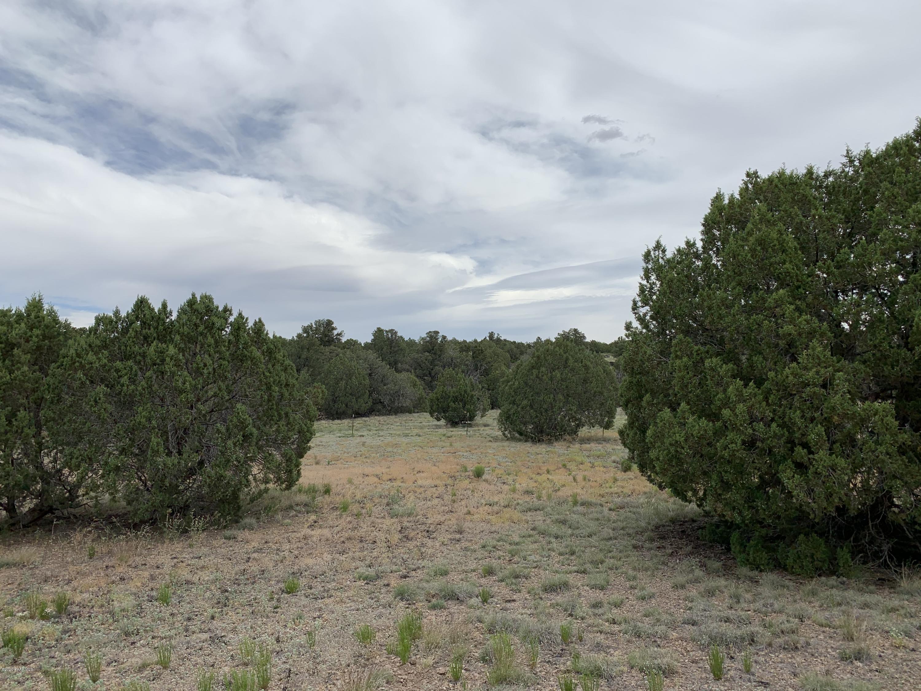 18601 Crossroads Ranch Road Prescott, AZ 86305 - Photo 21 of 22 a view of a forest with trees in the background
