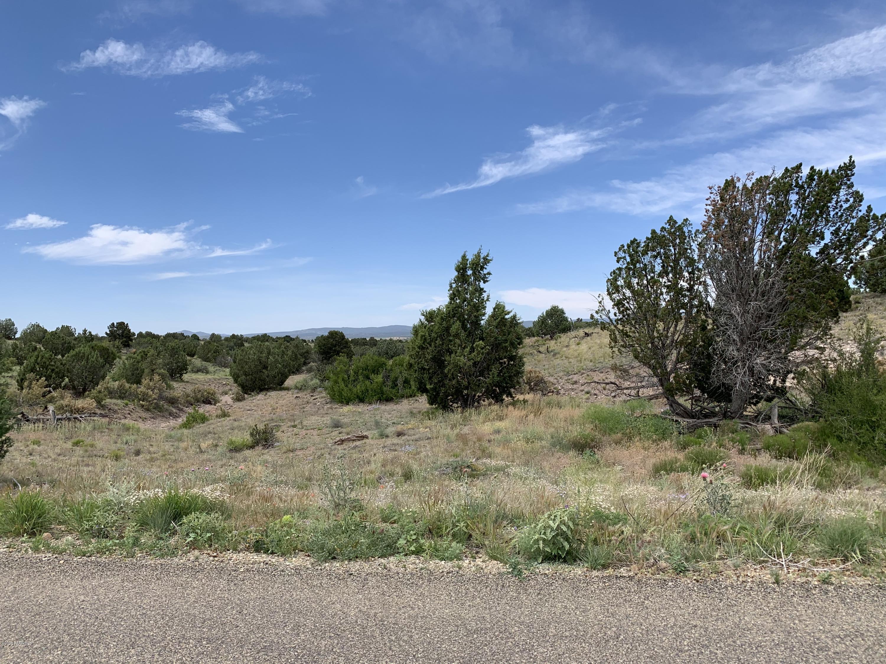 18601 Crossroads Ranch Road Prescott, AZ 86305 - Photo 5 of 22 a view of a yard