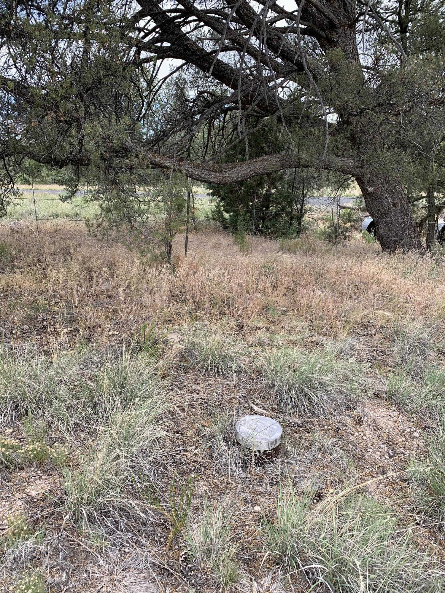 18601 Crossroads Ranch Road Prescott, AZ 86305 - Photo 7 of 22 a view of a backyard of the house