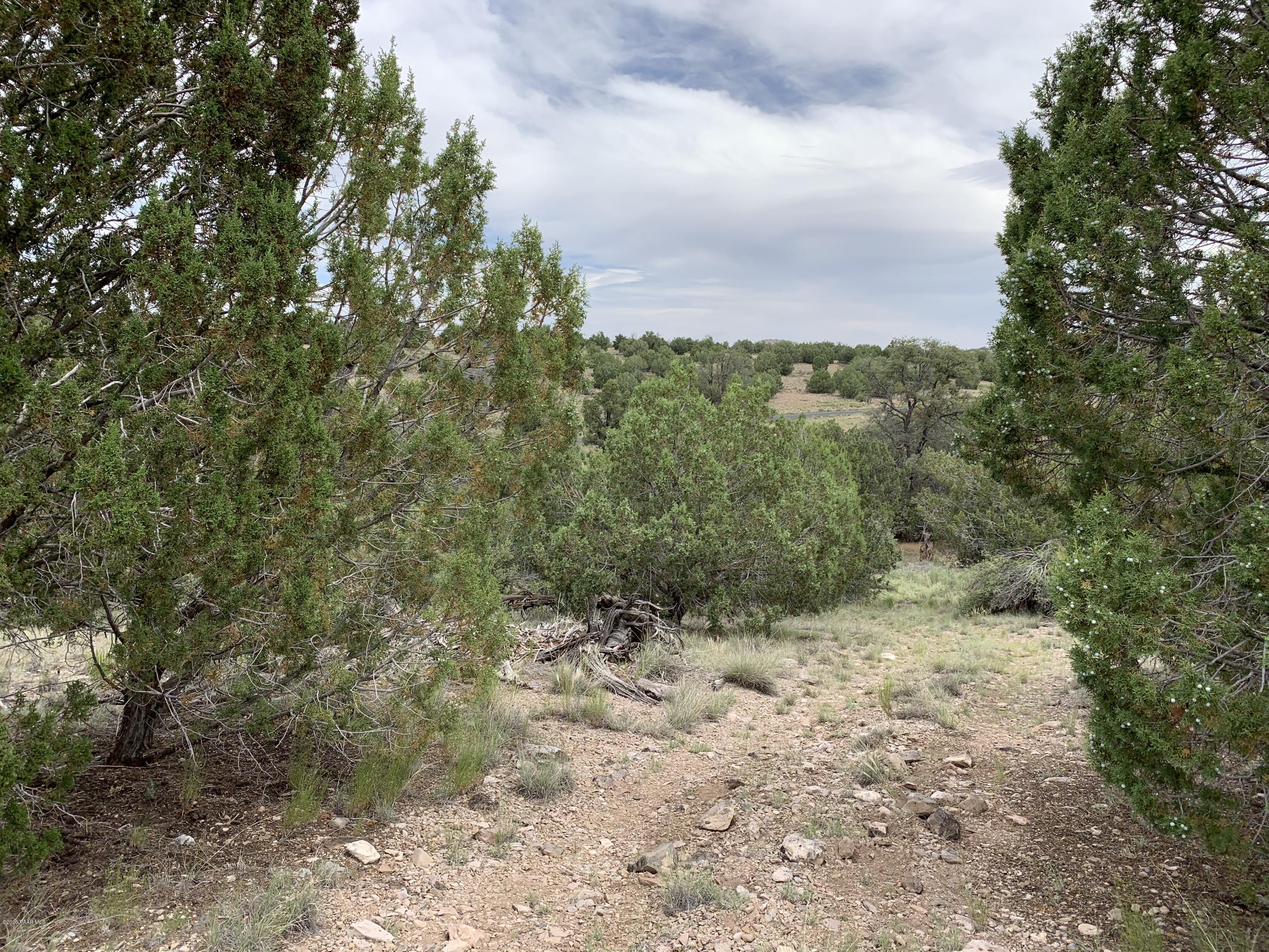 18601 Crossroads Ranch Road Prescott, AZ 86305 - Photo 9 of 22 a view of a covered with trees in the background