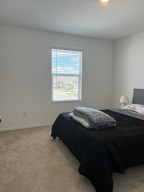 233 Perfect World Loop Jarrell, TX 76537 - Photo 12 of 24 Well-lit sleeping quarters with neighborhood views and plush carpeting.