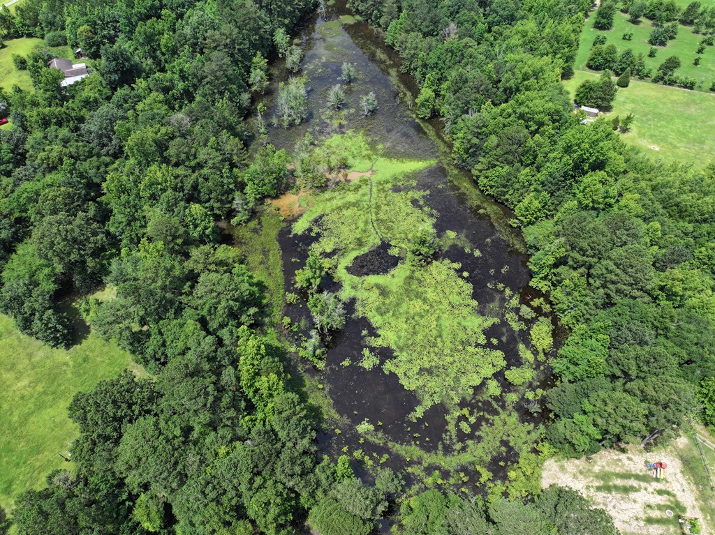 280 Owens Road Fort Mitchell, AL 36856 - Photo 9 of 41