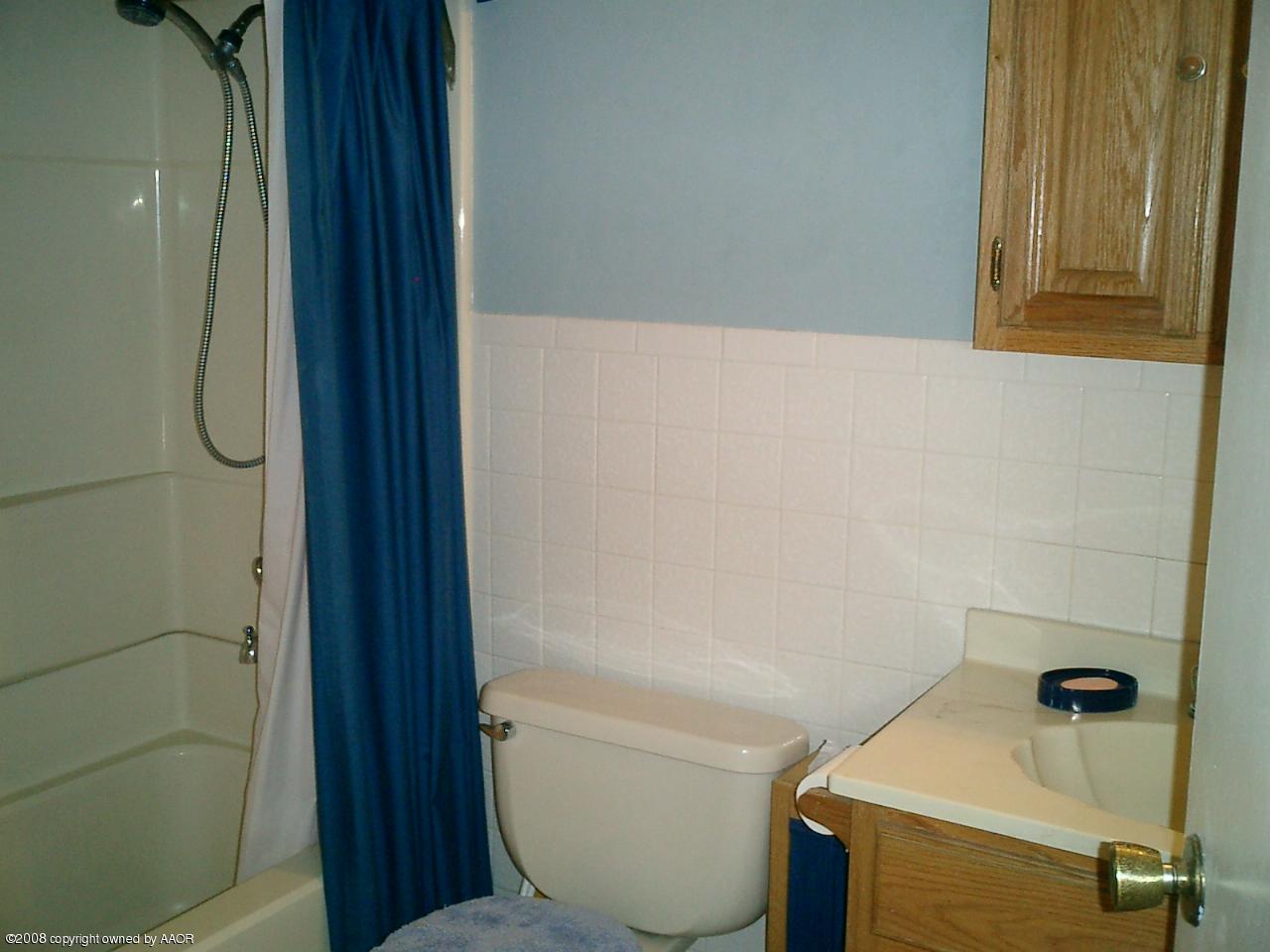 4319 South Hayden Street Amarillo, TX 79110 - Photo 6 of 13 a bathroom with a shower and toilet