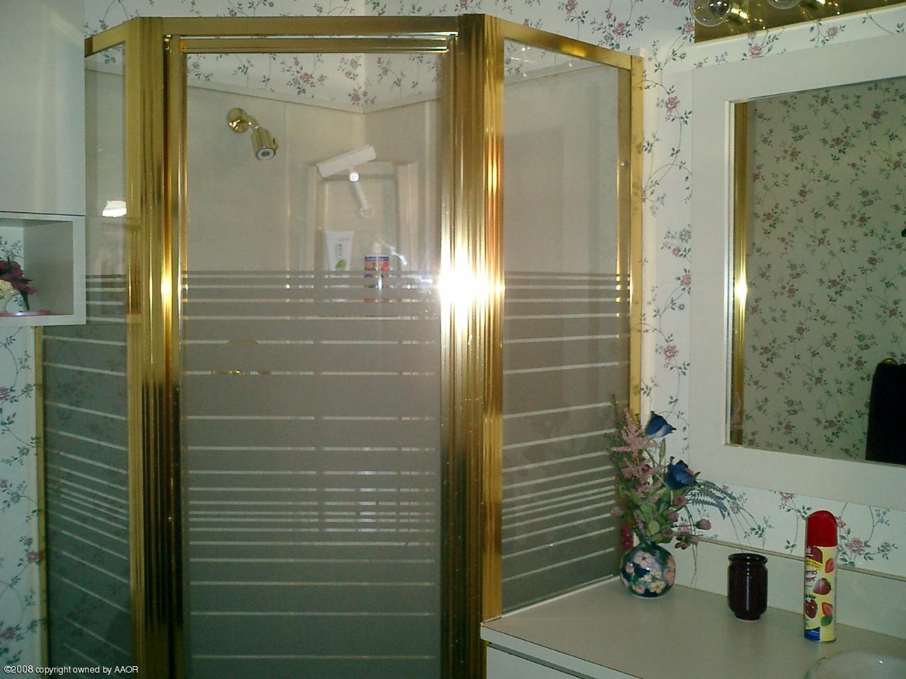4319 South Hayden Street Amarillo, TX 79110 - Photo 10 of 13 a bathroom with a shower