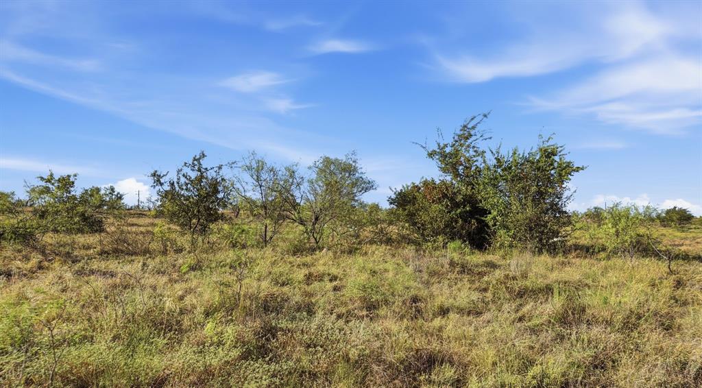 Lot 46 Twisted Creek Ranch Gustine, TX 76455 - Photo 15 of 25 Gallery Image 15