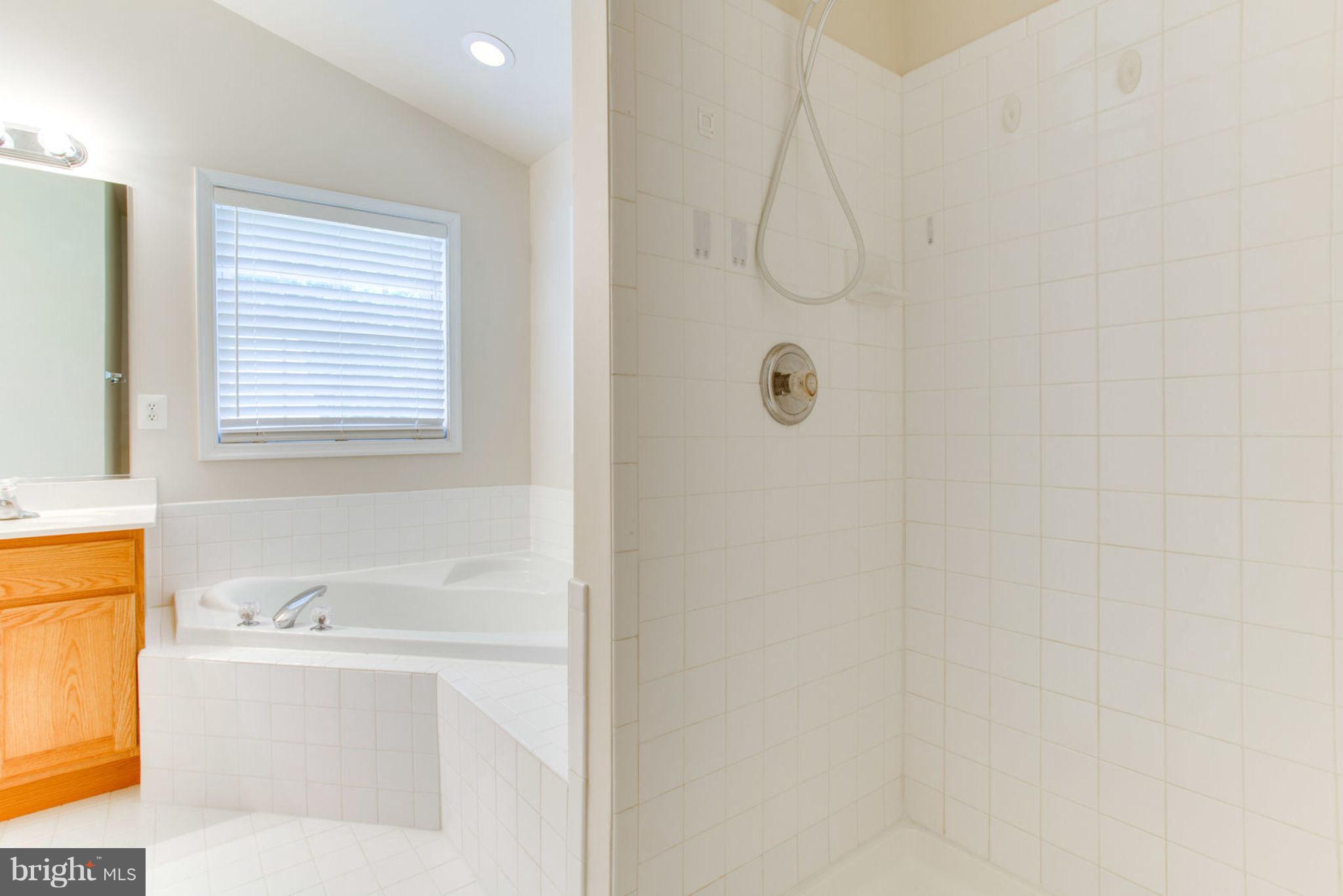 9703 Crest Hill Road Marshall, VA 20115 - Photo 23 of 29 Master with large Walk-In Shower
