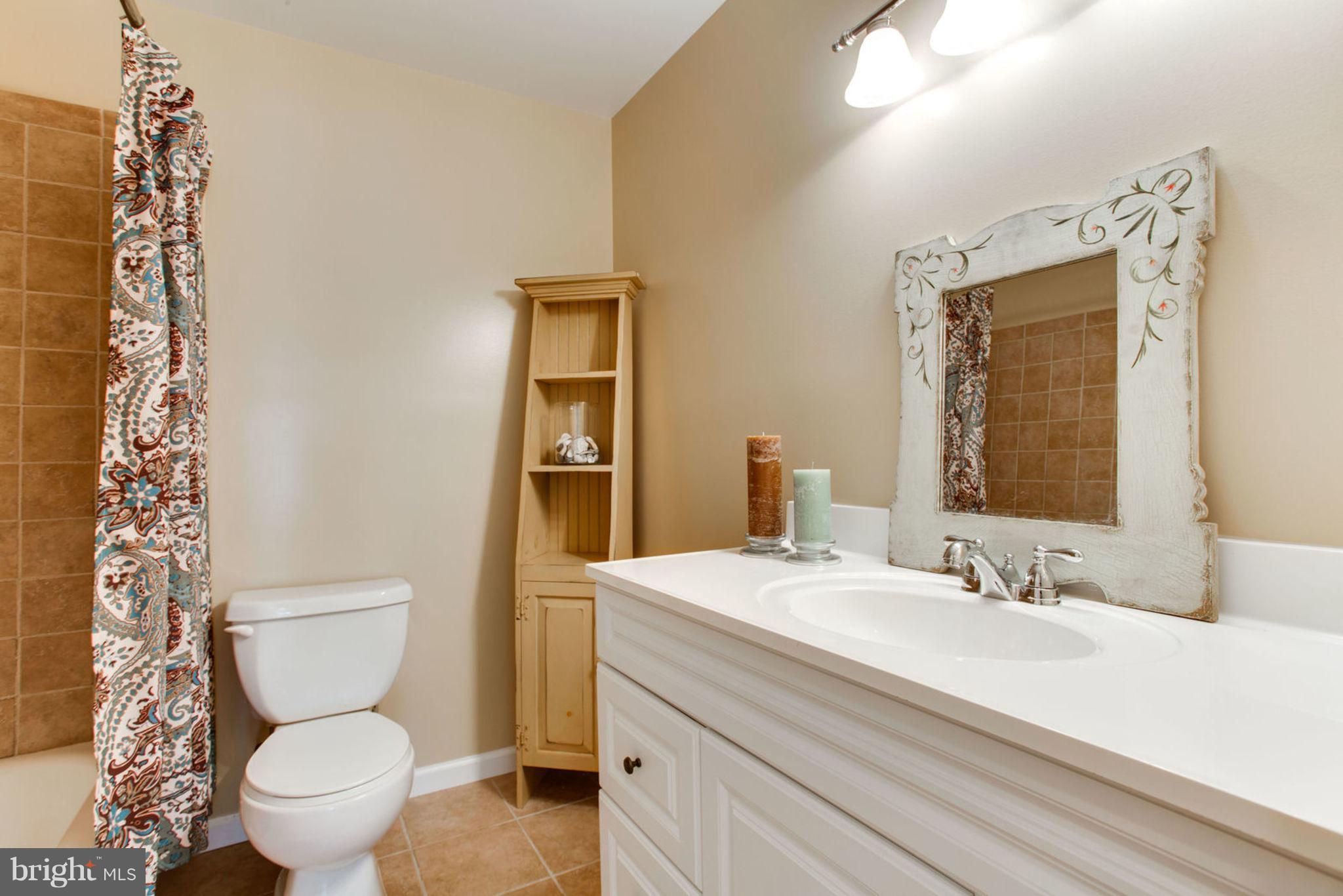 9703 Crest Hill Road Marshall, VA 20115 - Photo 28 of 29 Full Bath in Lower Level