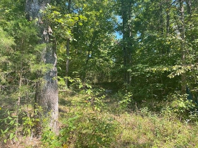 0 Mt Zion Road Bowling Green, KY 42101 - Photo 4 of 5 Gallery Image 4