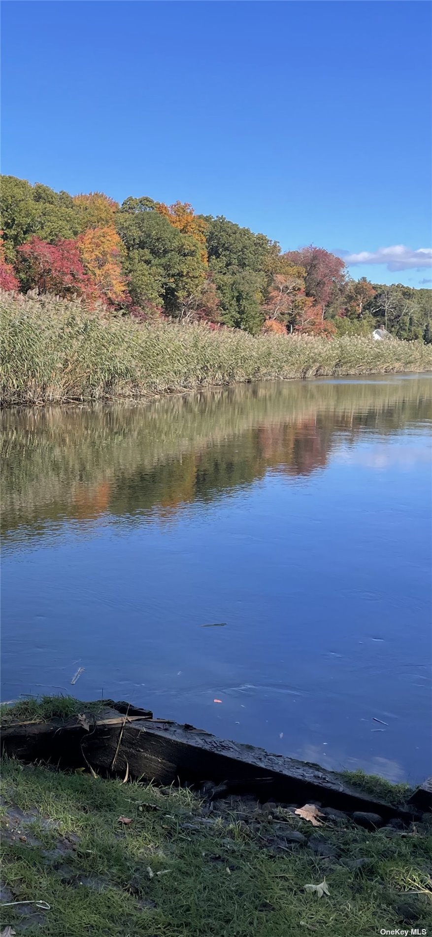 28 Whitney Gate, Unit GATE Smithtown, NY 11787 - Photo 3 of 36