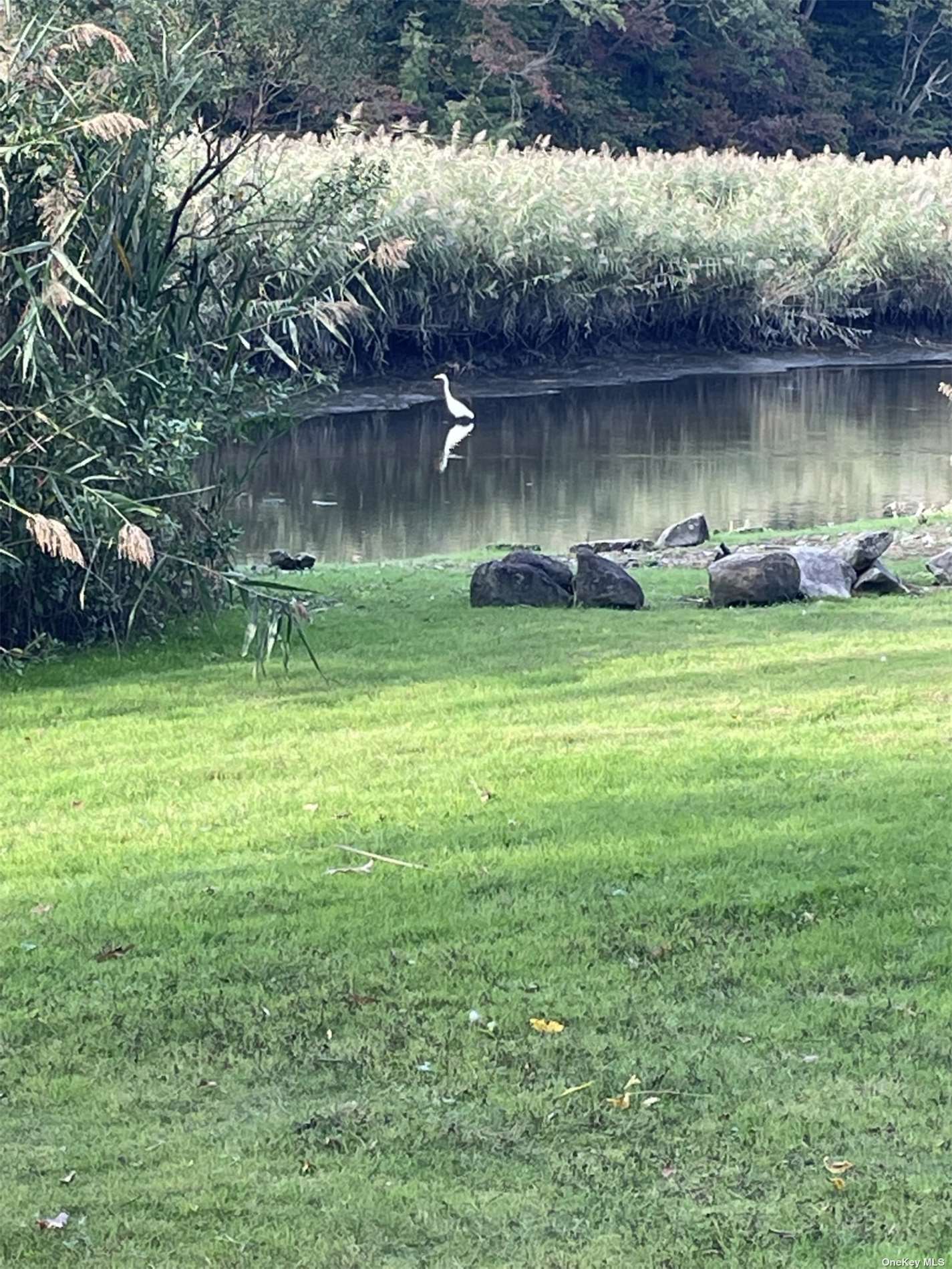 28 Whitney Gate, Unit GATE Smithtown, NY 11787 - Photo 4 of 36