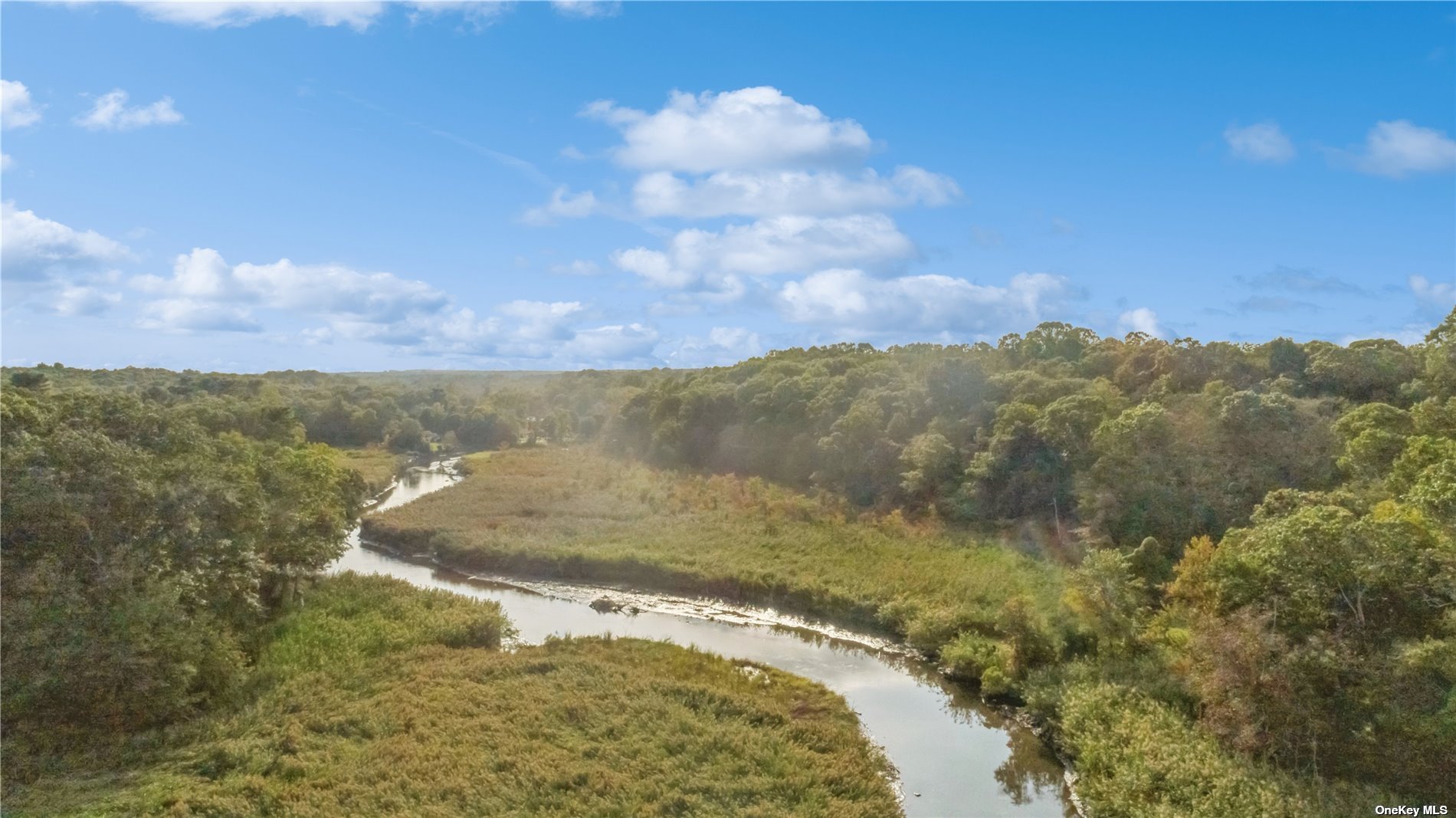 28 Whitney Gate, Unit GATE Smithtown, NY 11787 - Photo 5 of 36