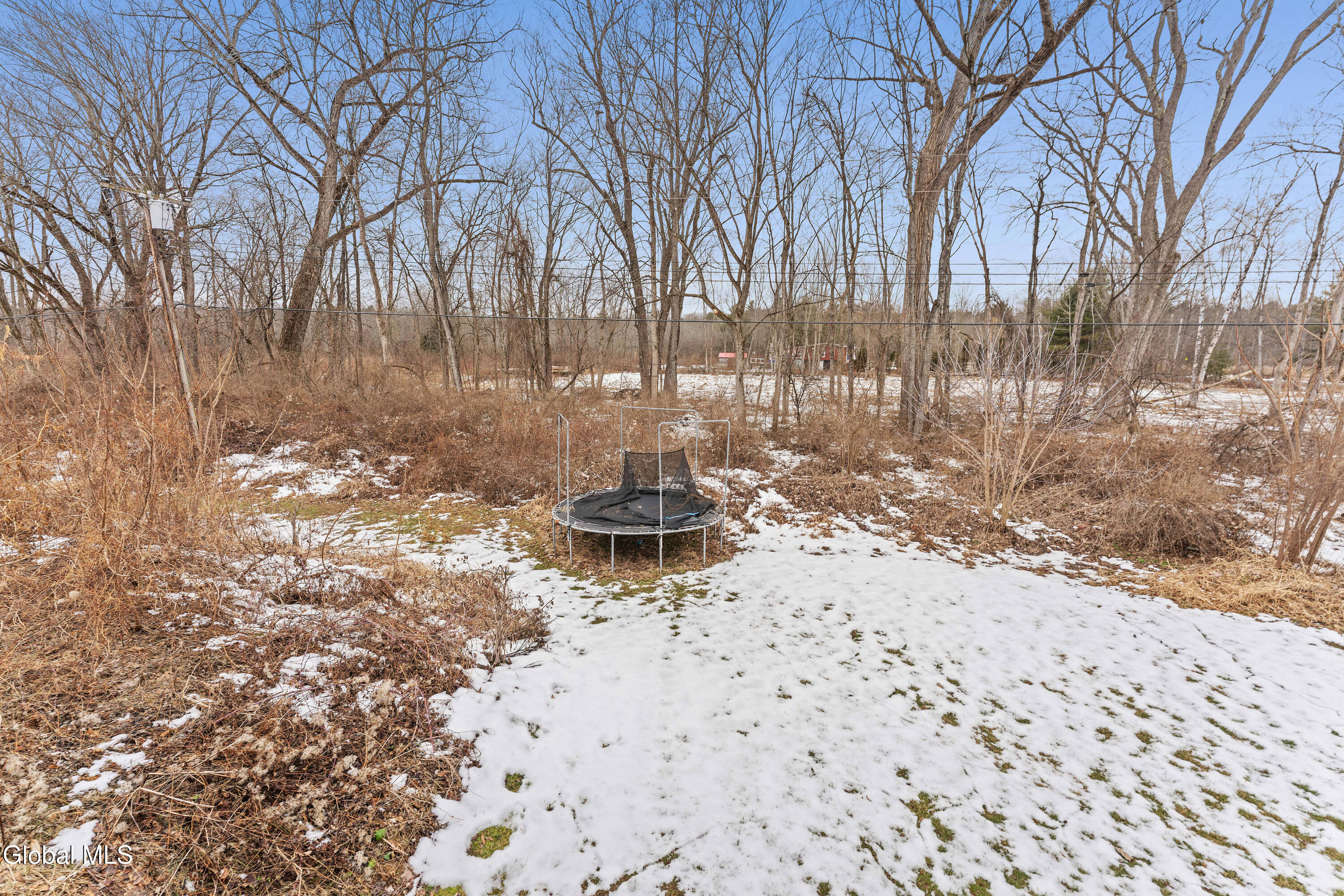 179 River Road Schuylerville, NY 12871 - Photo 31 of 58 Yard 3