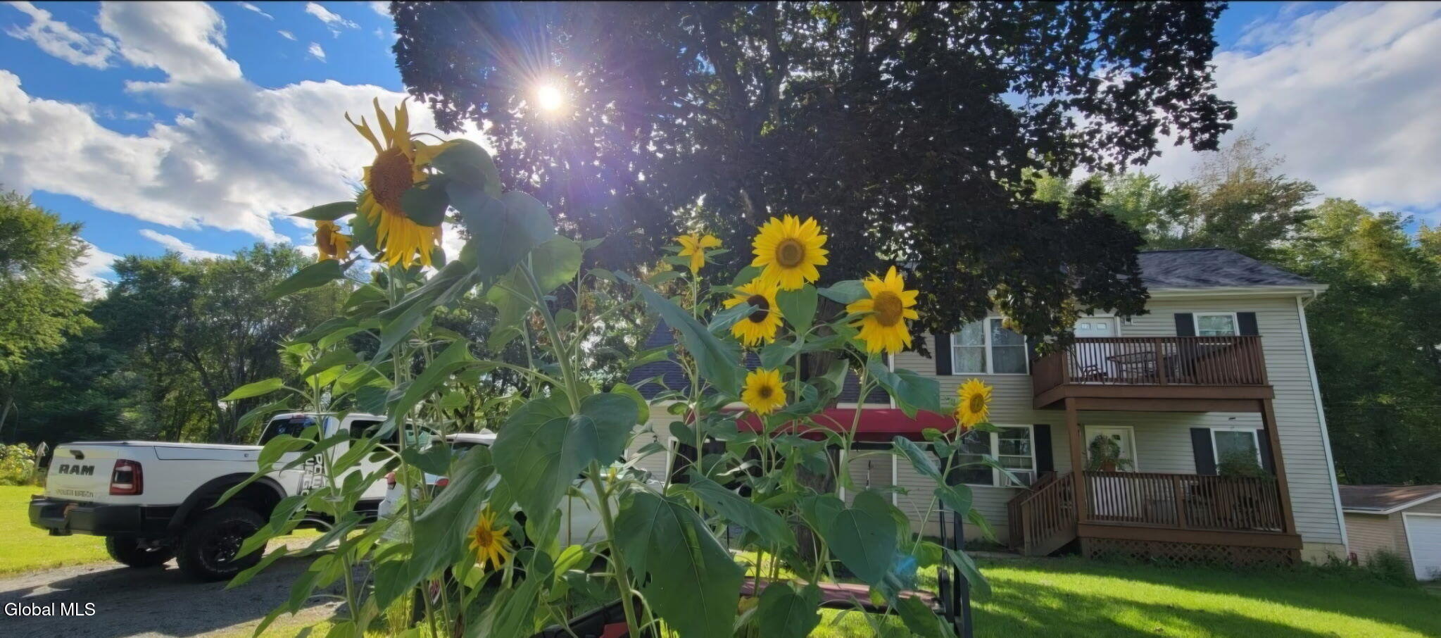 179 River Road Schuylerville, NY 12871 - Photo 56 of 58 house with sunflowers