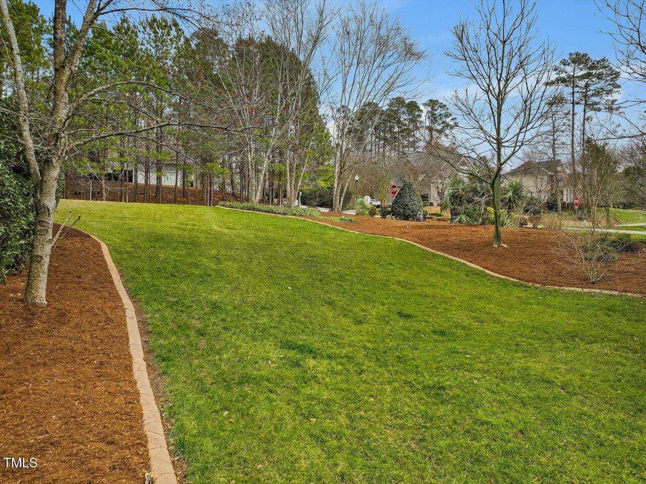 3828 Wesley Ridge Drive Apex, NC 27539 - Photo 69 of 84 100-Side yard