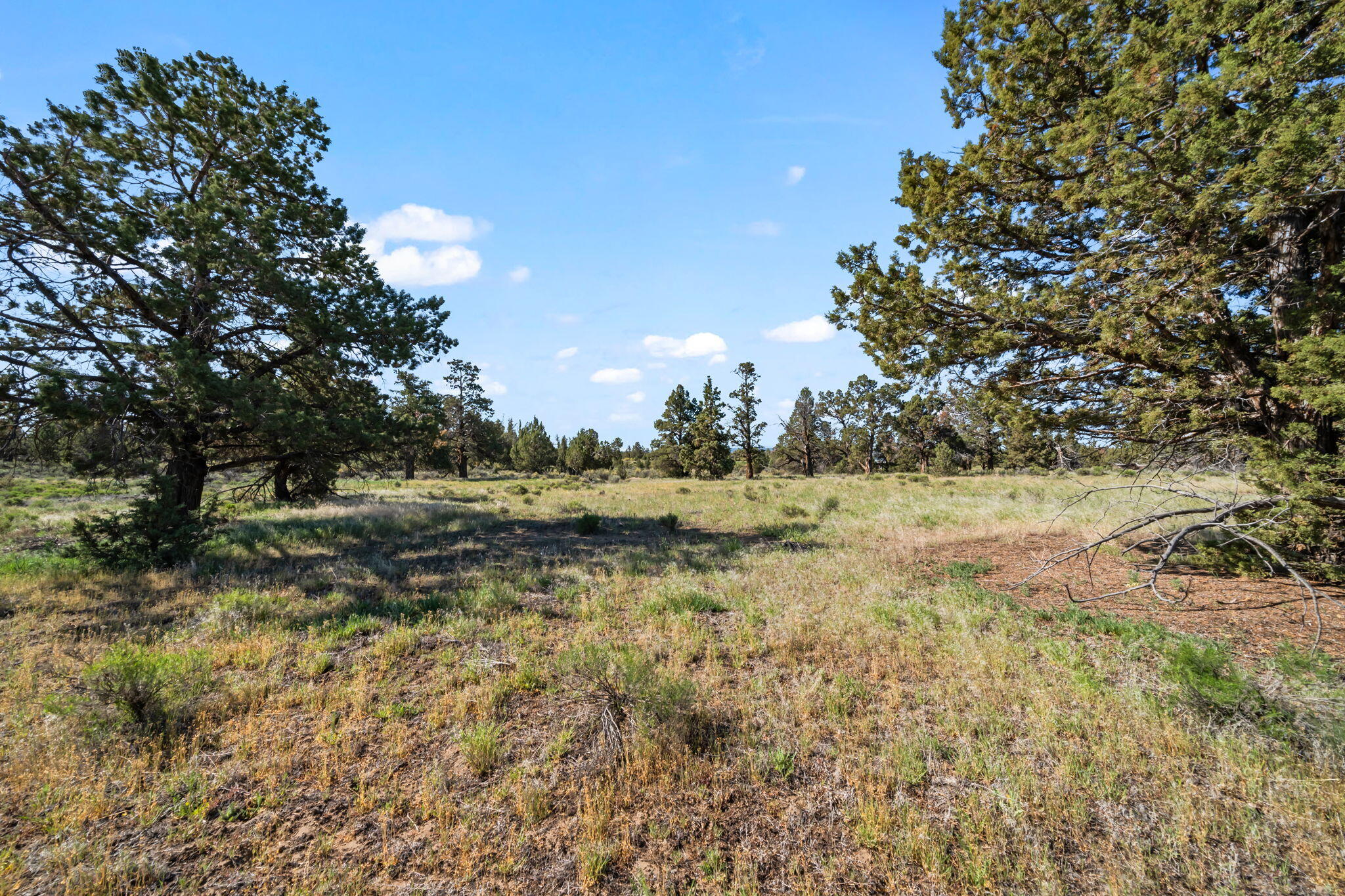 Southeast Gribbling Road, Unit 300 Bend, OR 97701 - Photo 3 of 28 22-web-or-mls-Gribbling Rd Lot 300 (18 o