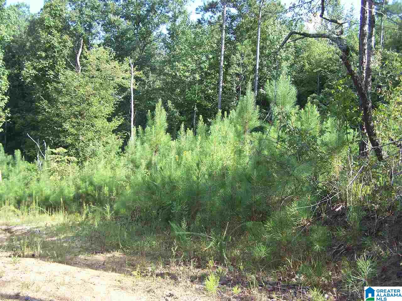 0 Jackson Trail, Unit 140 ACRES Altoona, AL 35952 - Photo 39 of 50
