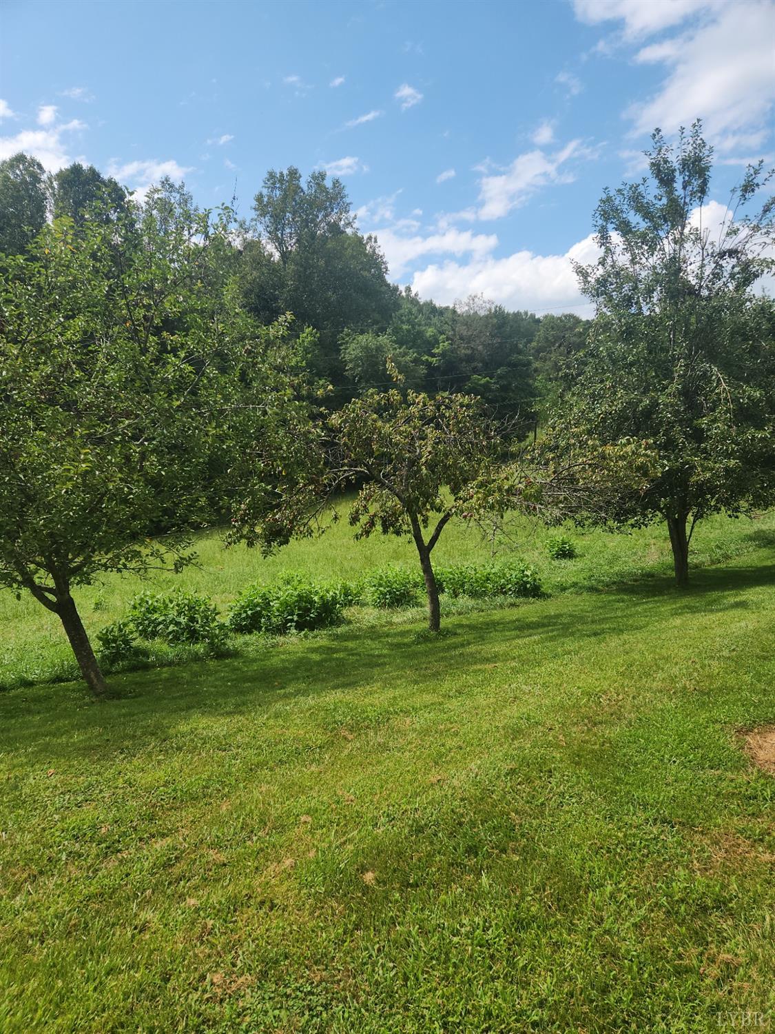 1072 Discovery Trail Big Island, VA 24526 - Photo 17 of 24 Fruit trees