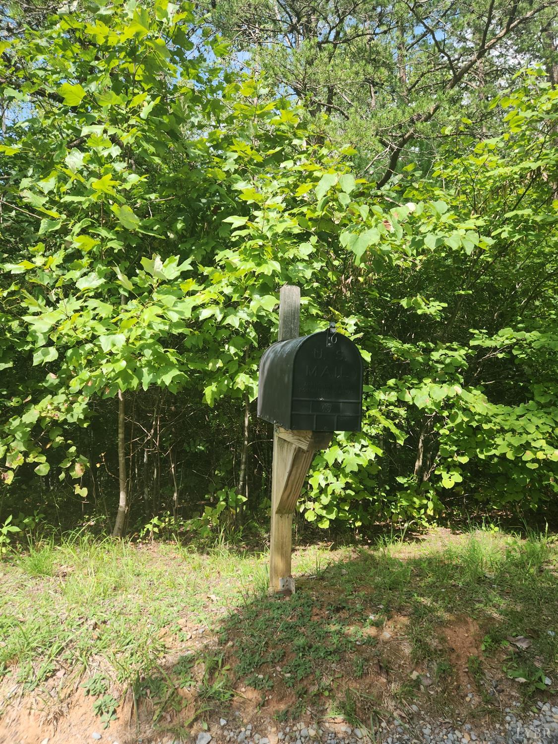 1072 Discovery Trail Big Island, VA 24526 - Photo 22 of 24 Mailbox