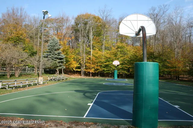 a view of a yard next to a building