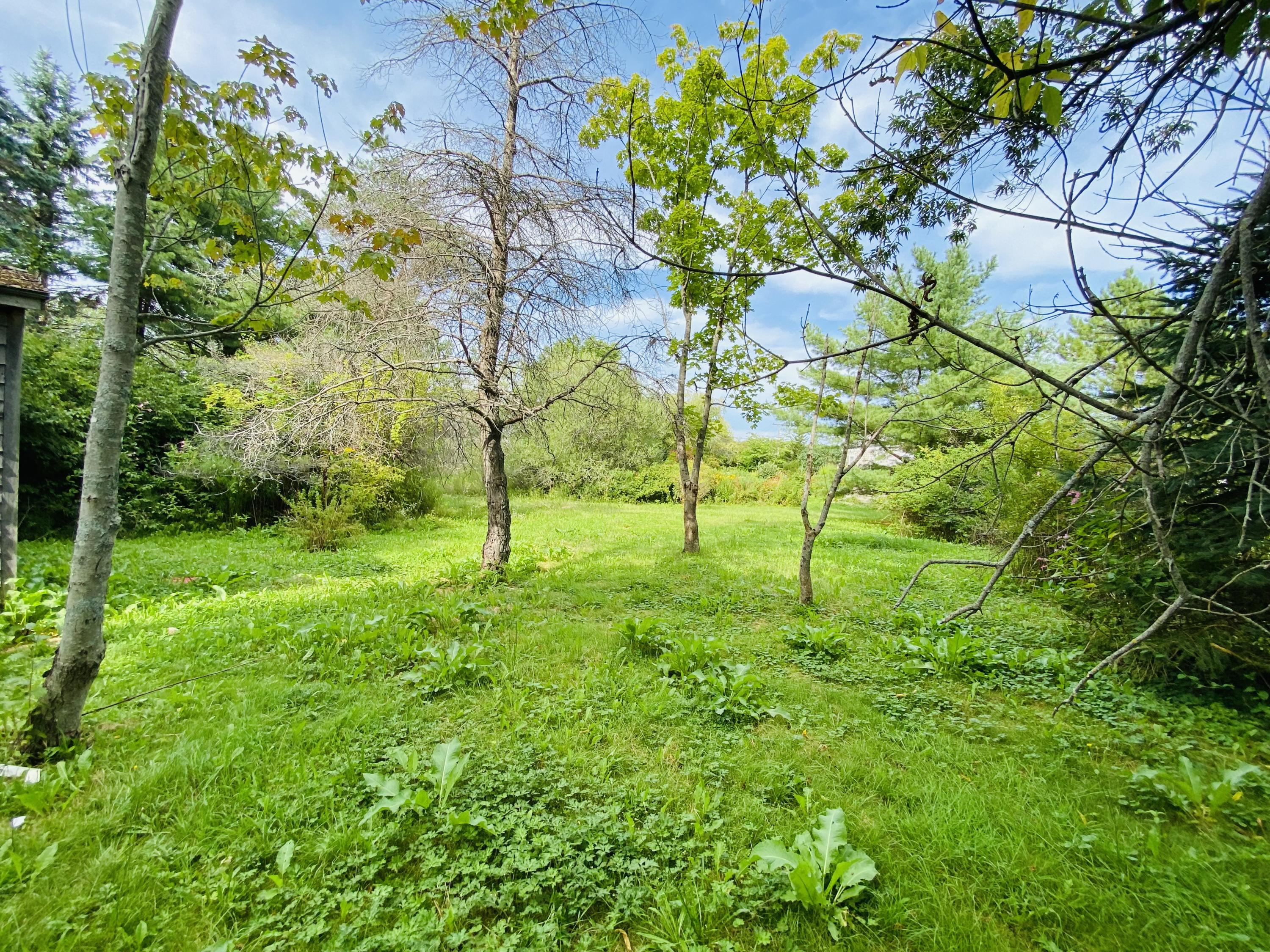 260 Old County Road Rockland, ME 04841 - Photo 31 of 32 Yard Area