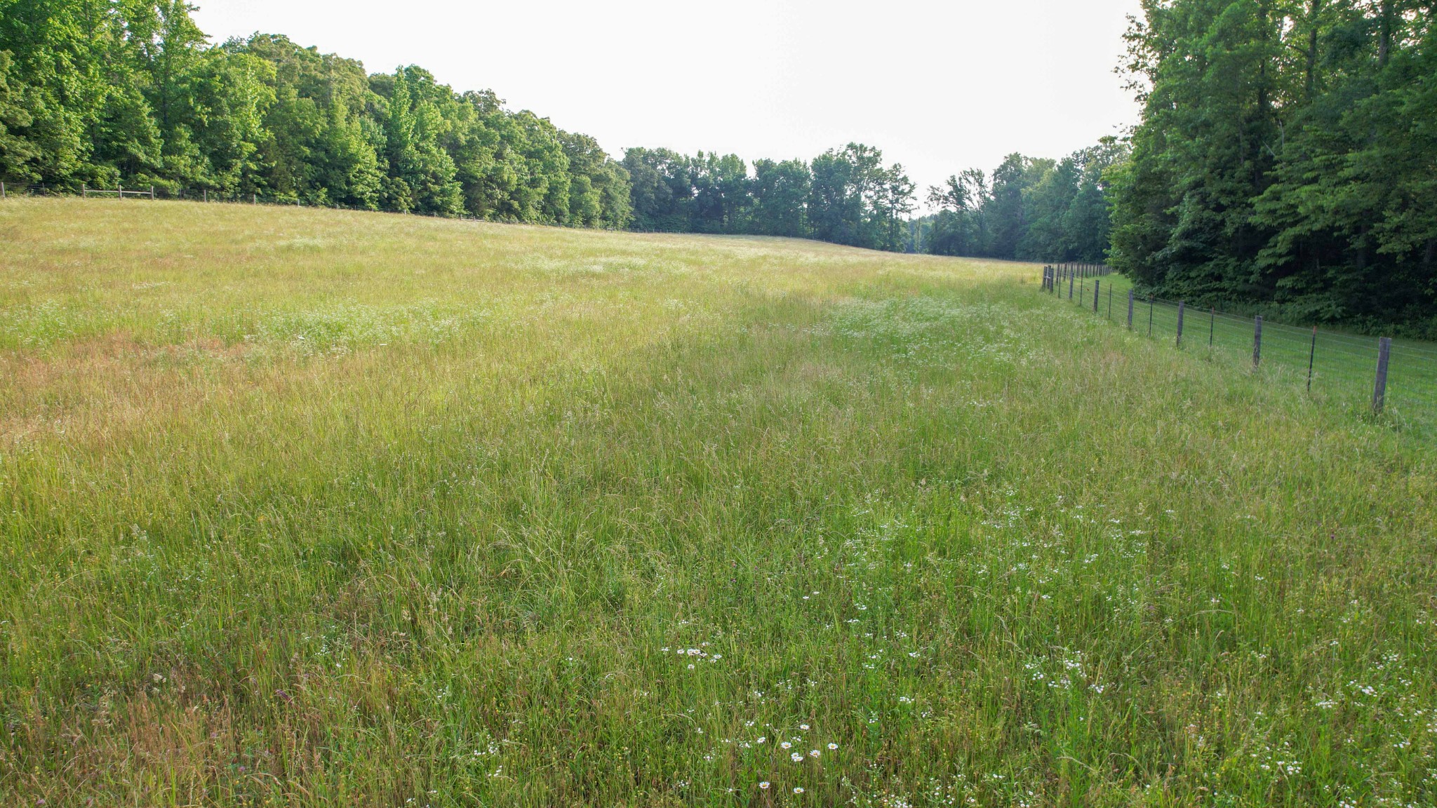 1267 Wades Branch Road Centerville, TN 37033 - Photo 53 of 73