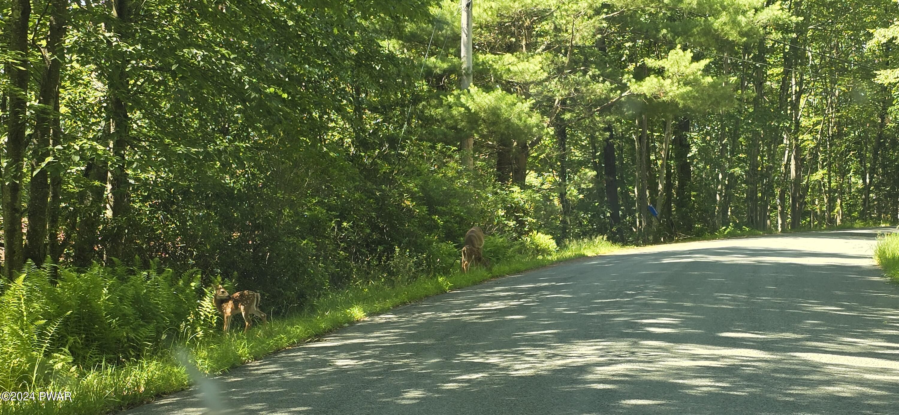 Cayuga Trail Milford, PA 18337 - Photo 12 of 20