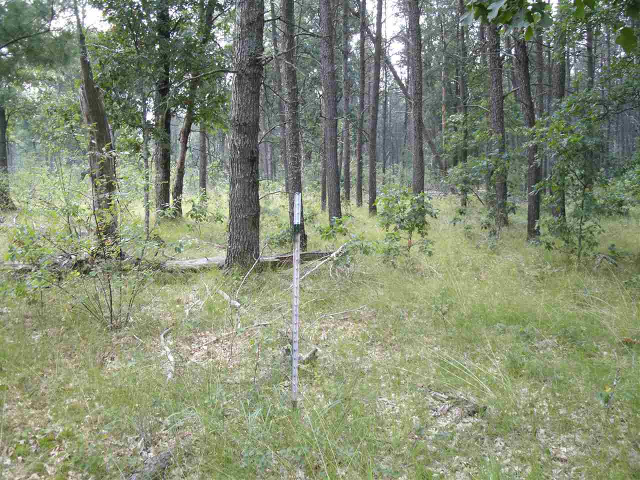 9 Mile Road Free Soil, MI 49411 - Photo 1 of 4