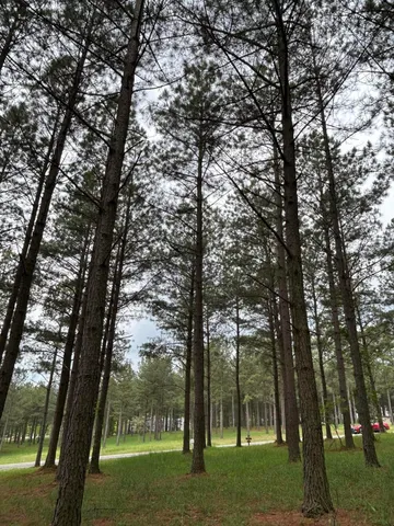 a view of outdoor space