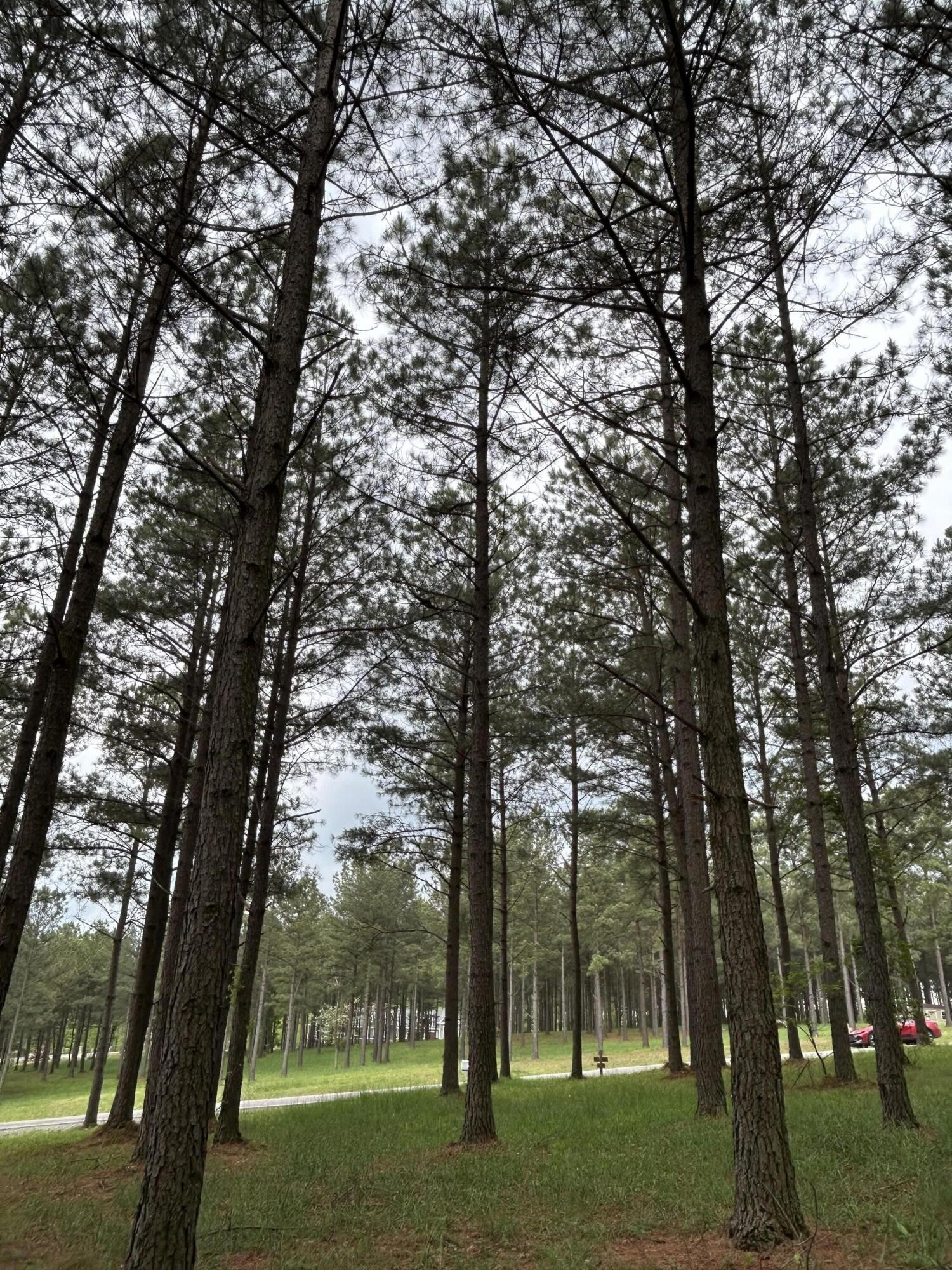 140 Foxtrot Lane Jasper, TN 37347 - Photo 11 of 31 a view of outdoor space