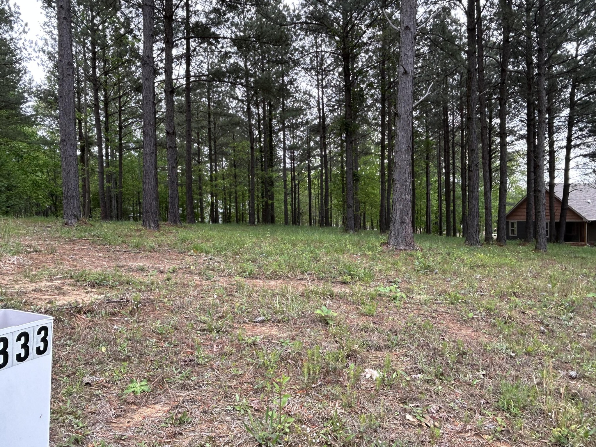 140 Foxtrot Lane Jasper, TN 37347 - Photo 12 of 31 a view of outdoor space with trees