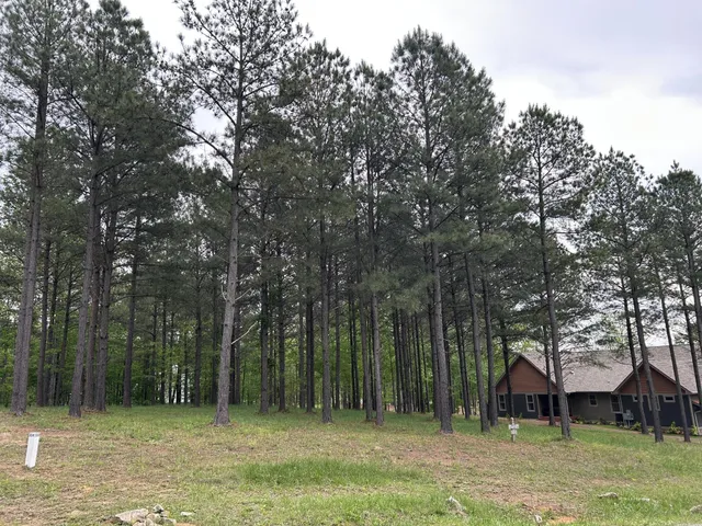 a backyard of a house with large trees and wooden fence
