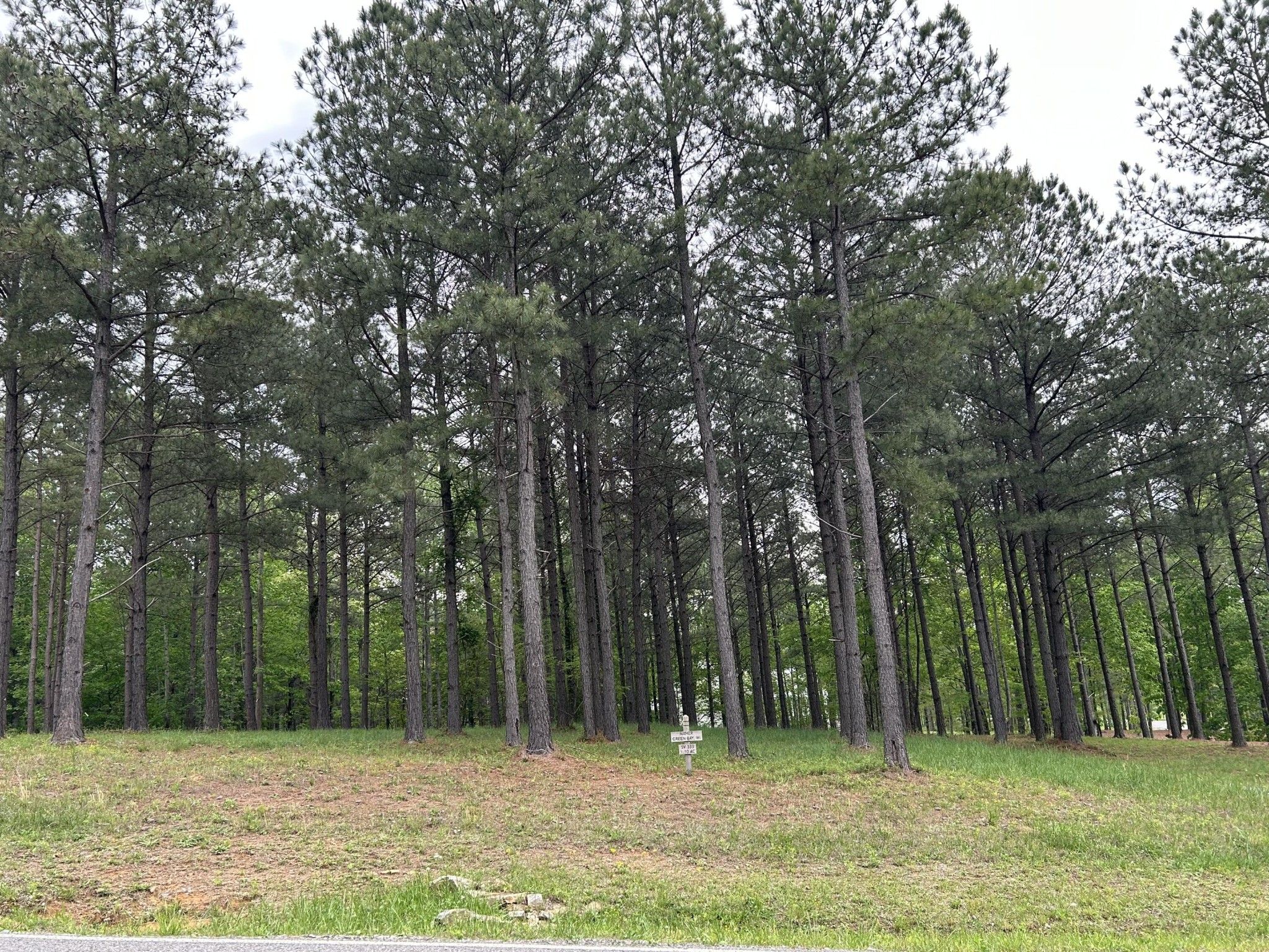 140 Foxtrot Lane Jasper, TN 37347 - Photo 3 of 31 a backyard of a house with lots of trees