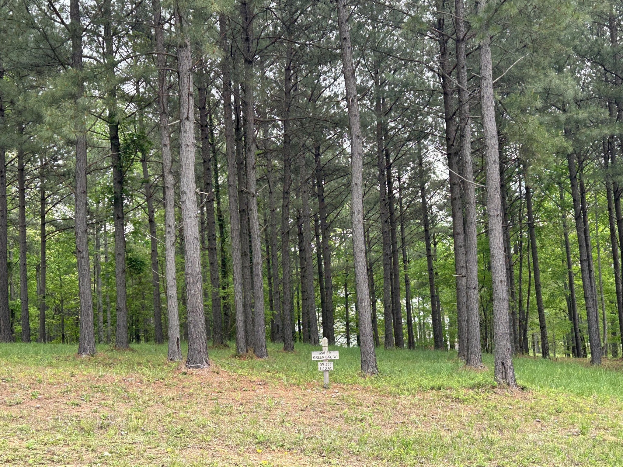 140 Foxtrot Lane Jasper, TN 37347 - Photo 4 of 31 a backyard of a house with lots of trees and plants
