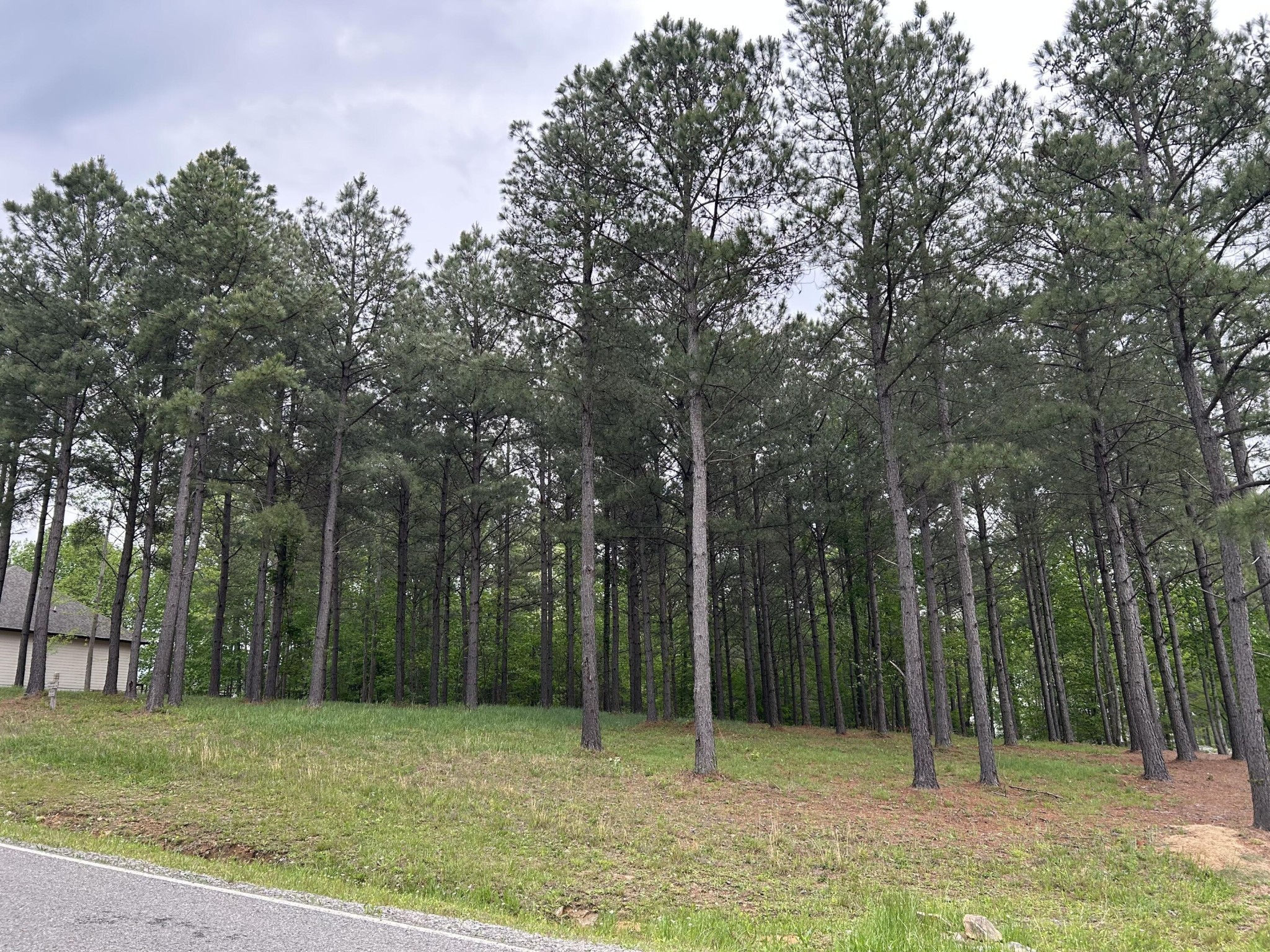 140 Foxtrot Lane Jasper, TN 37347 - Photo 5 of 31 a view of a field with trees in the background