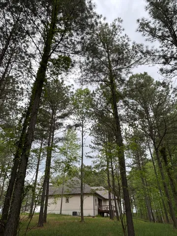 a view of green field