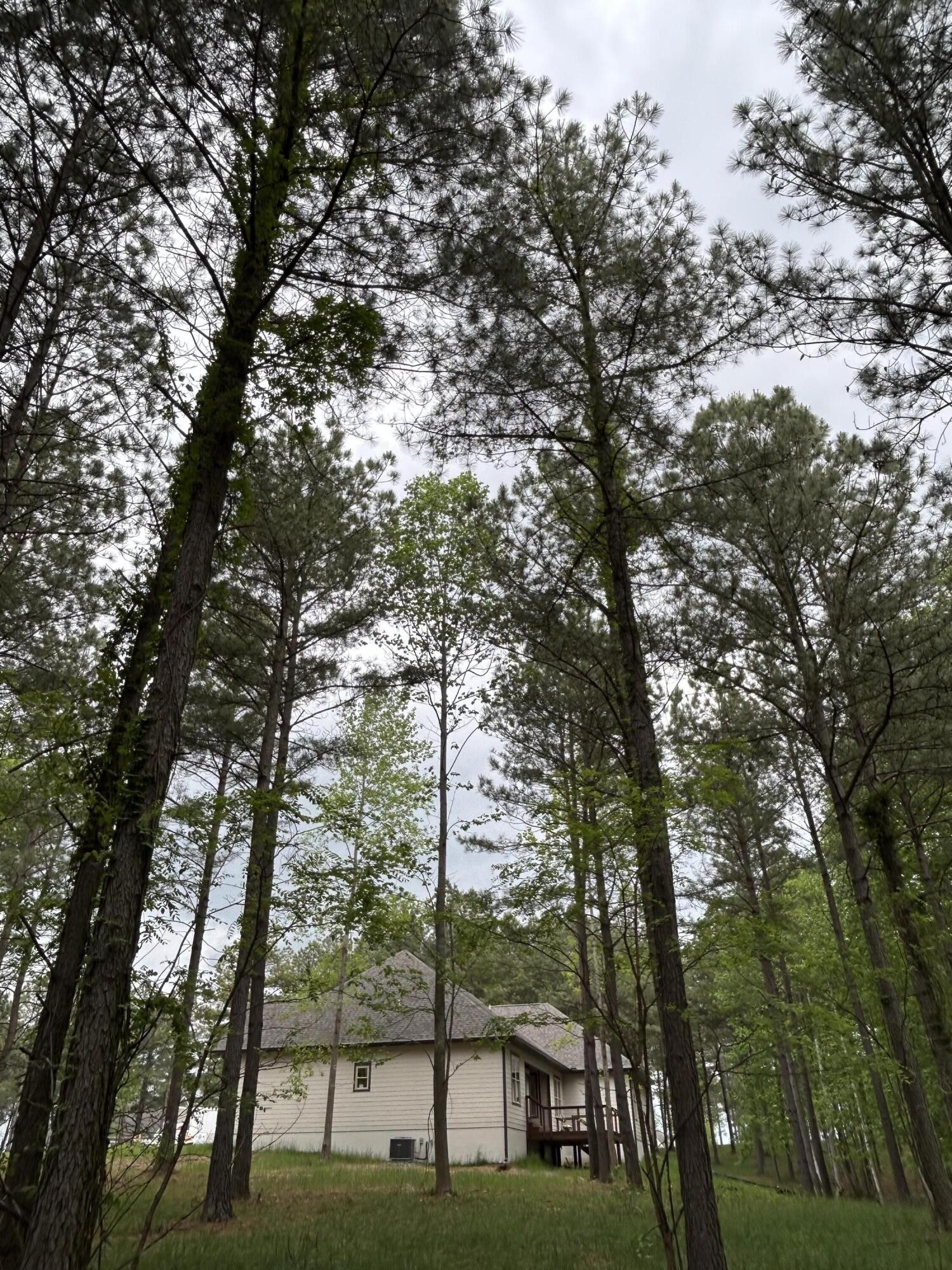 140 Foxtrot Lane Jasper, TN 37347 - Photo 10 of 31 a view of green field