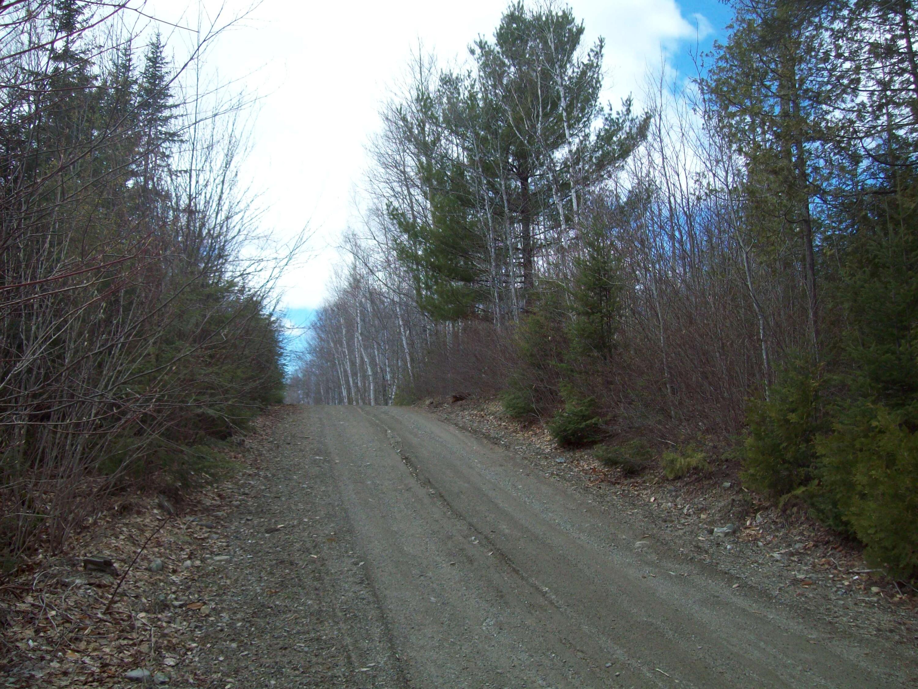 Tbd Tbd Road Springfield, ME 04487 - Photo 3 of 5 100_1811