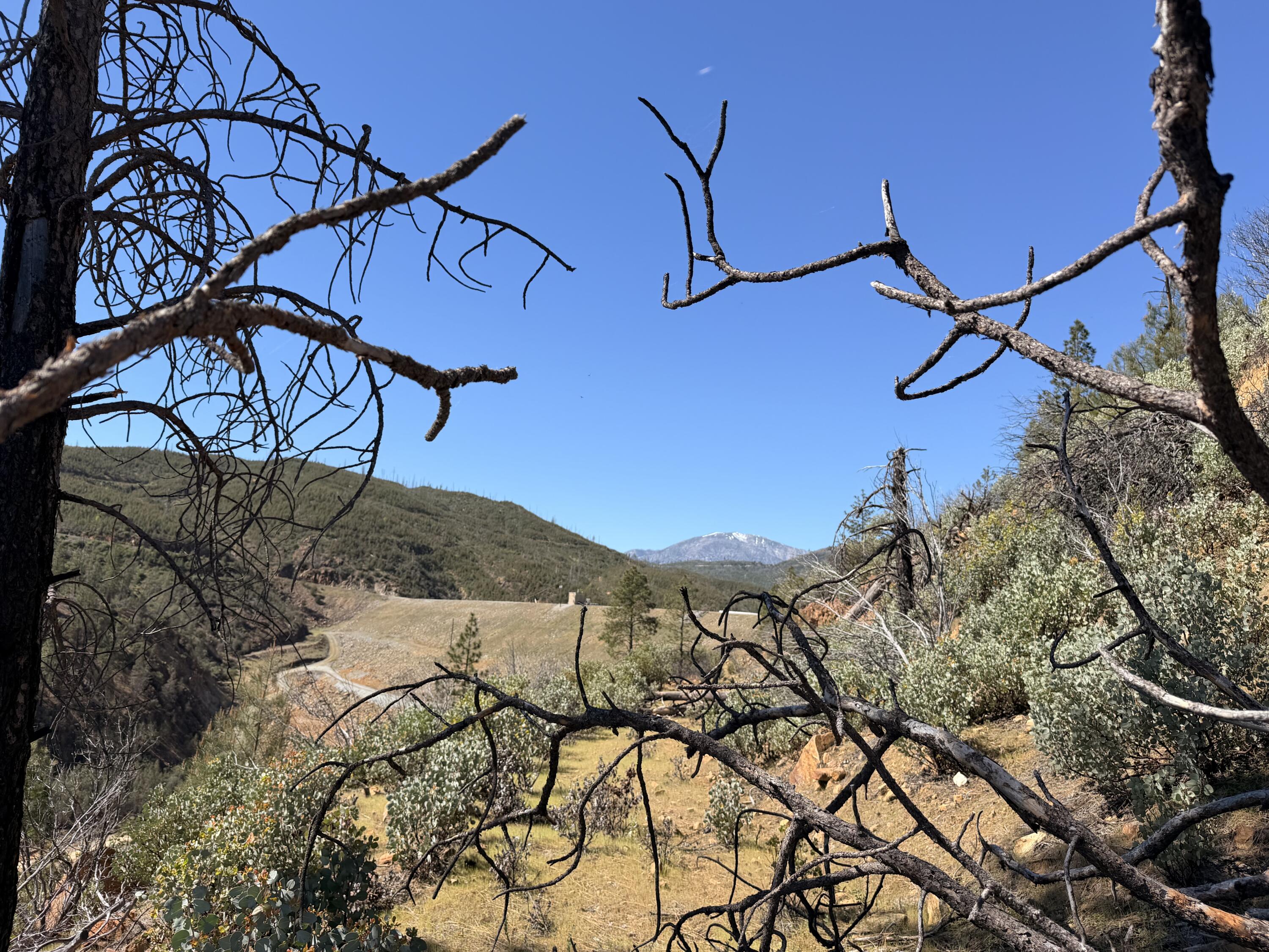 Iron Mountain Road Redding, CA 96001 - Photo 12 of 34 IMG_7122