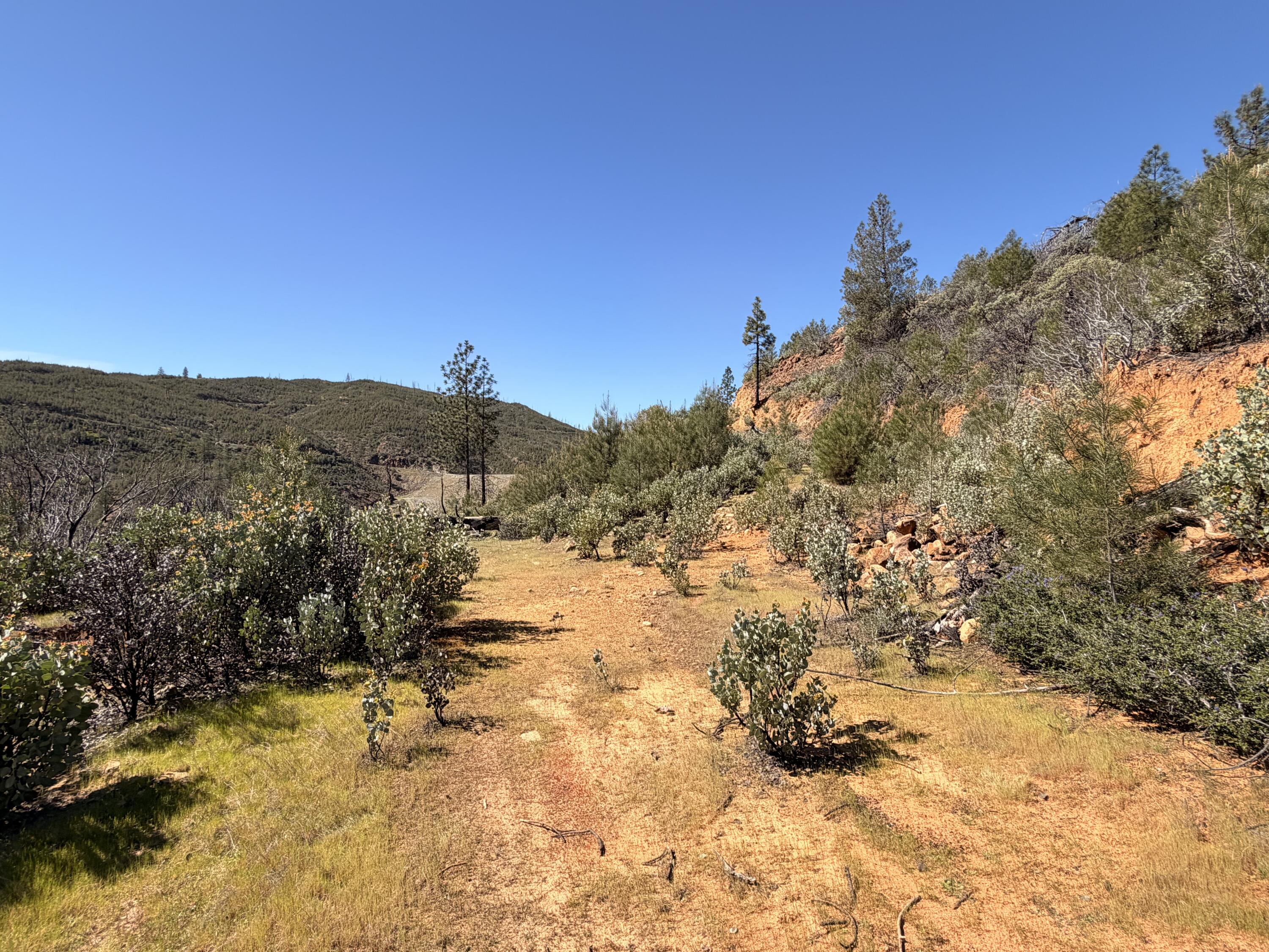 Iron Mountain Road Redding, CA 96001 - Photo 15 of 34 IMG_7131