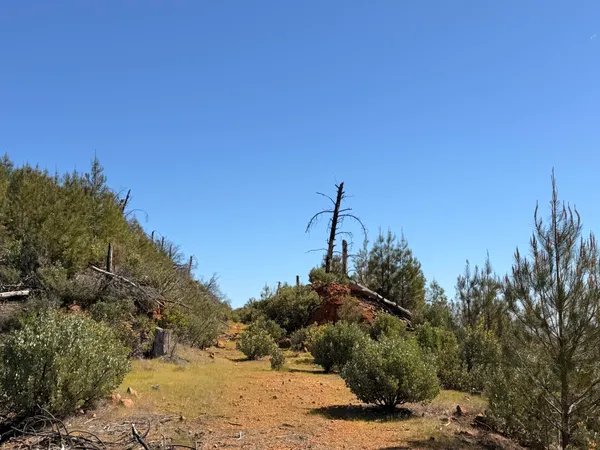 $149,000 | Iron Mountain Road, Redding, CA 96001