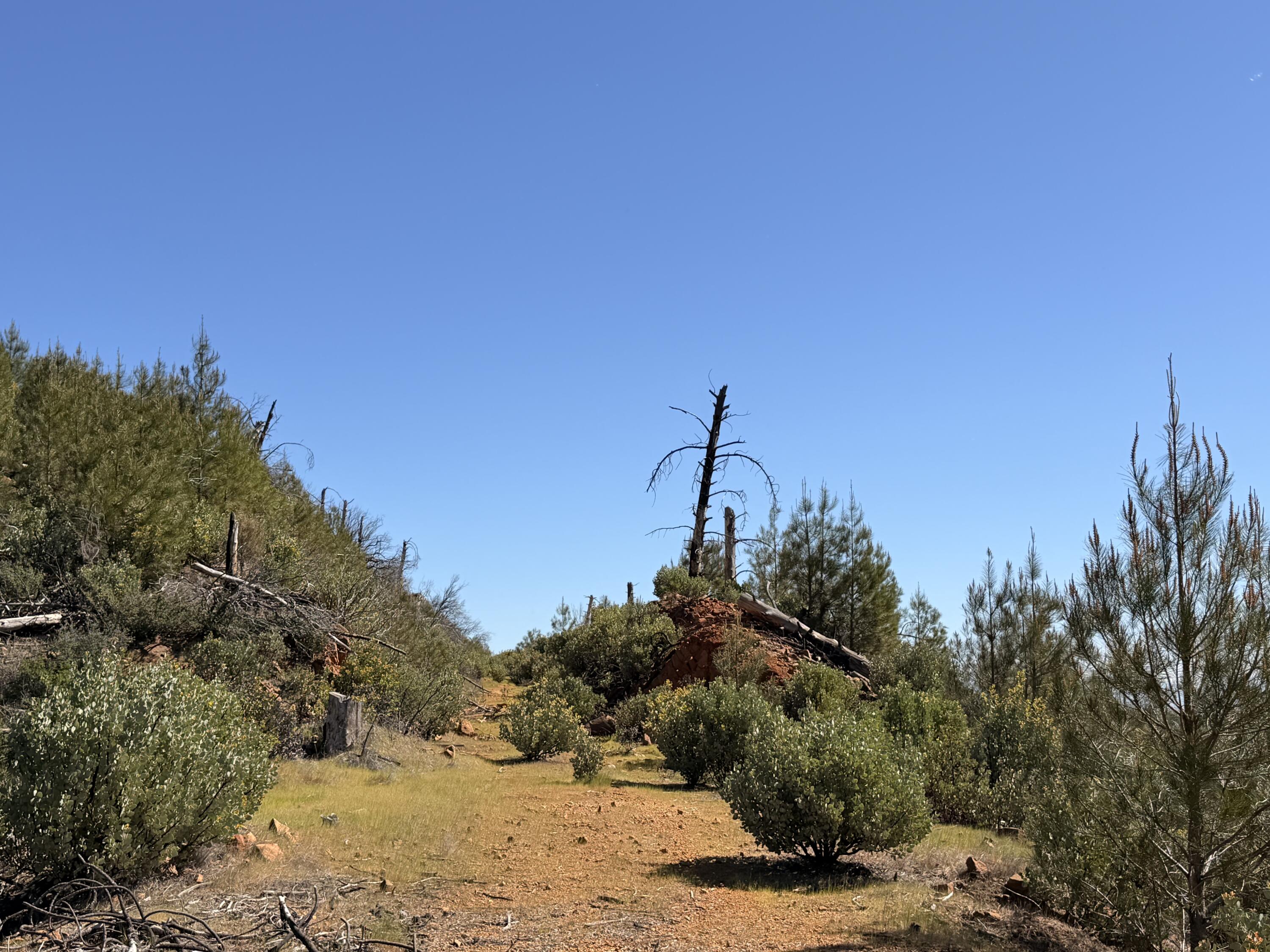 Iron Mountain Road Redding, CA 96001 - Photo 17 of 34 IMG_7136