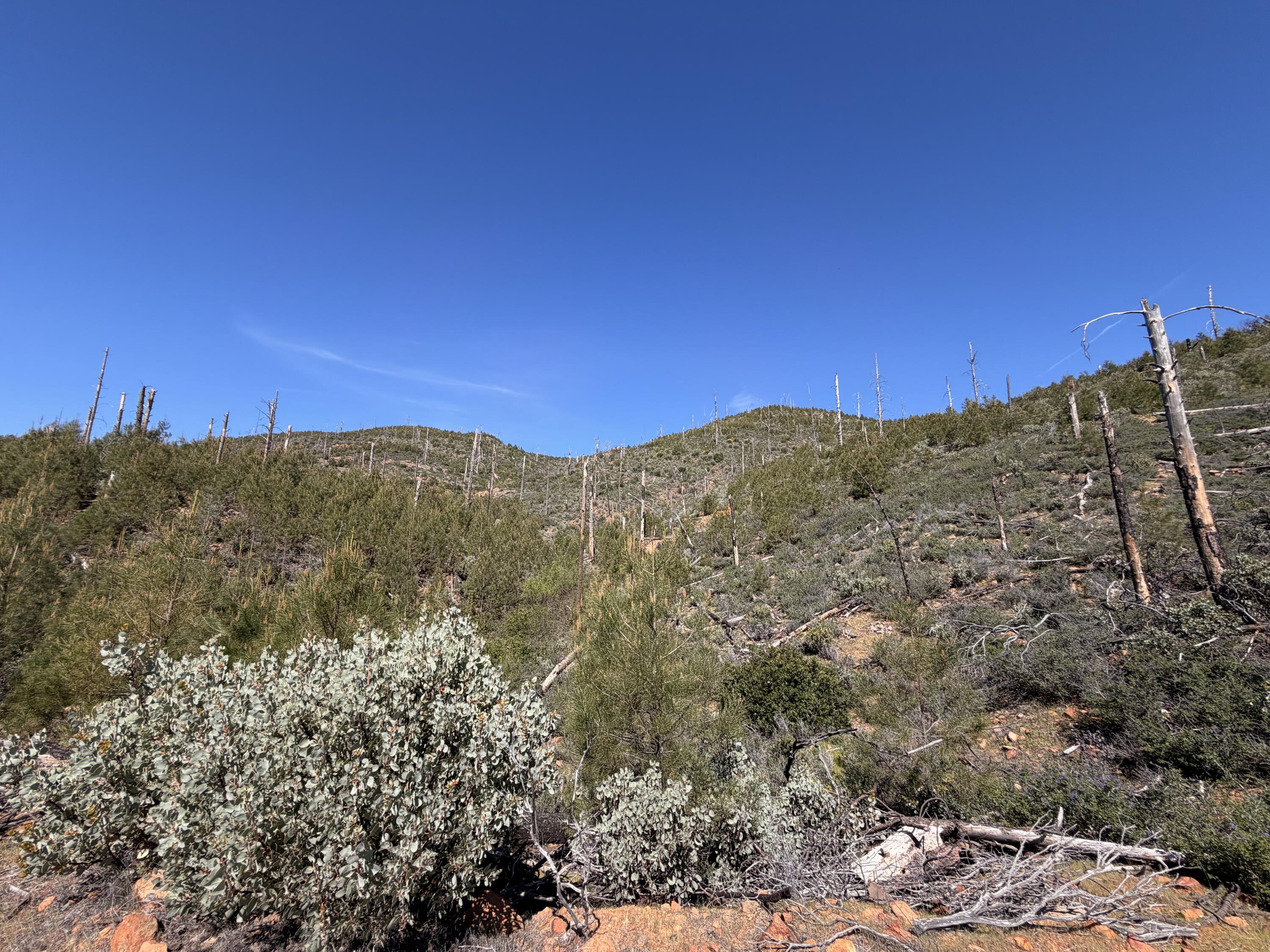 Iron Mountain Road Redding, CA 96001 - Photo 18 of 34 IMG_7137