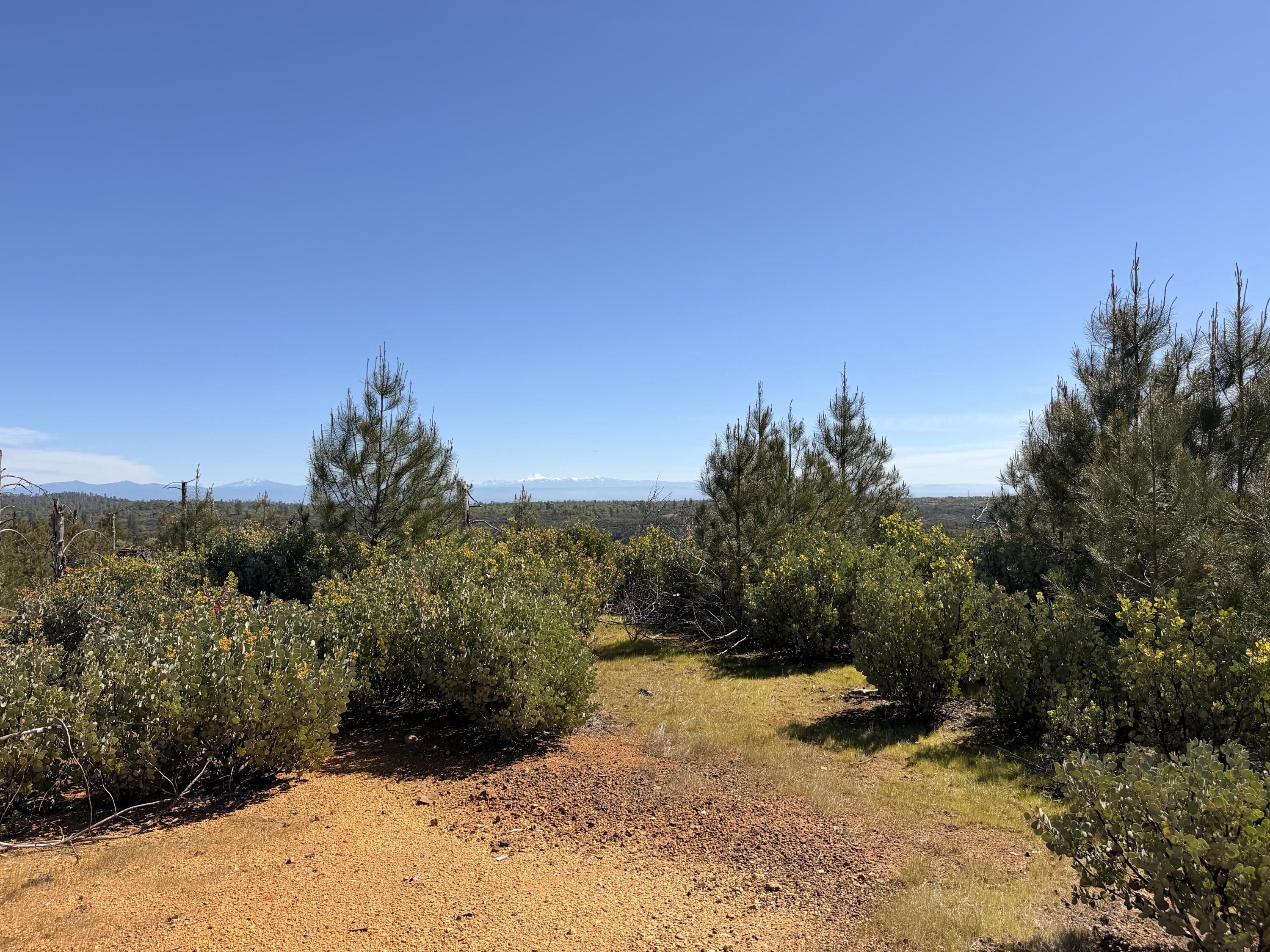 Iron Mountain Road Redding, CA 96001 - Photo 19 of 34 IMG_7146